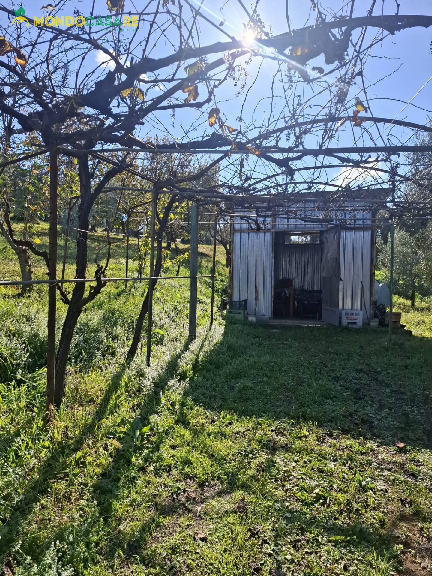Terreno Agricolo in vendita a Palombara Sabina