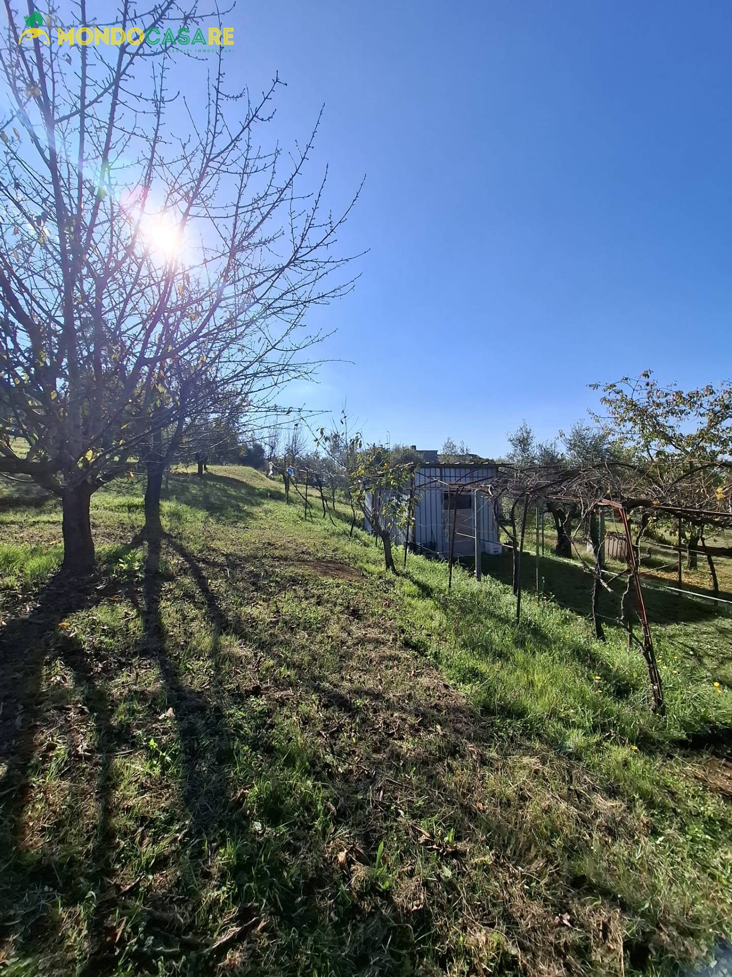 Terreno Agricolo in vendita a Palombara Sabina