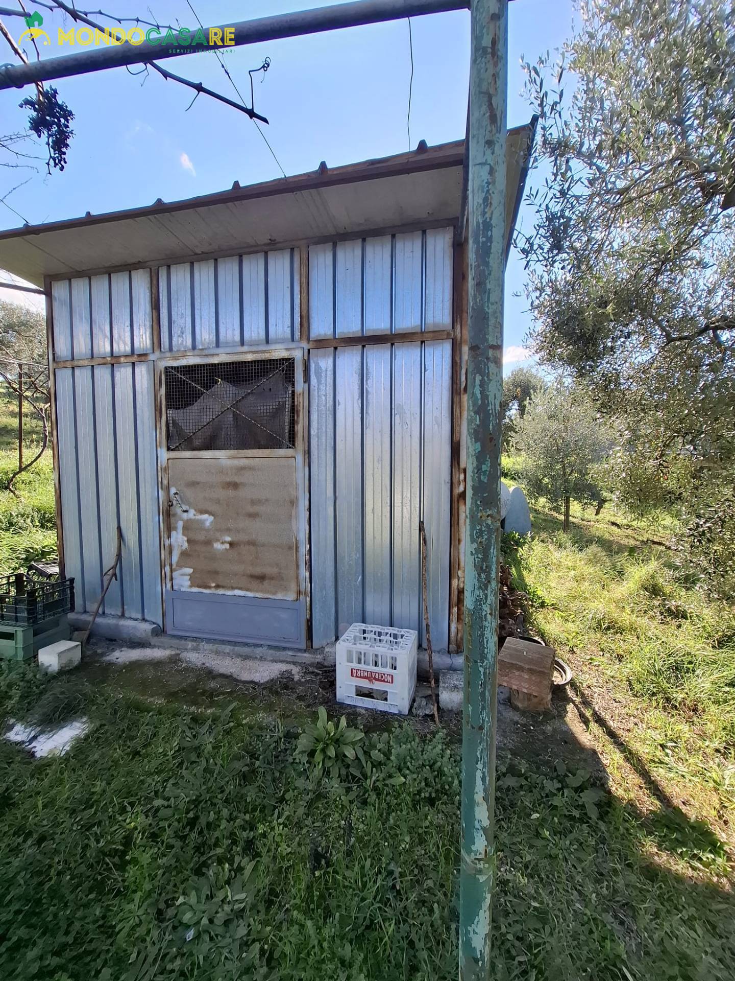 Terreno Agricolo in vendita a Palombara Sabina