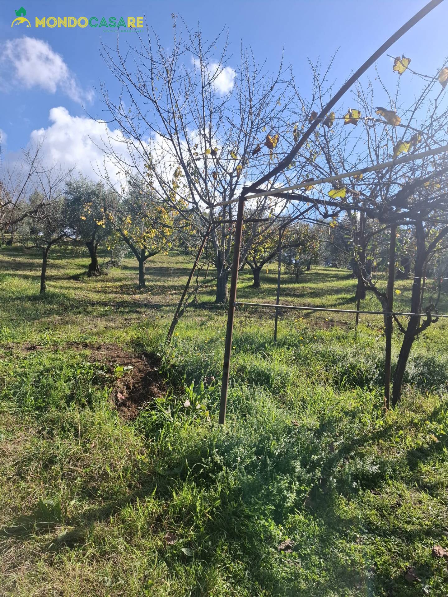 Terreno Agricolo in vendita a Palombara Sabina