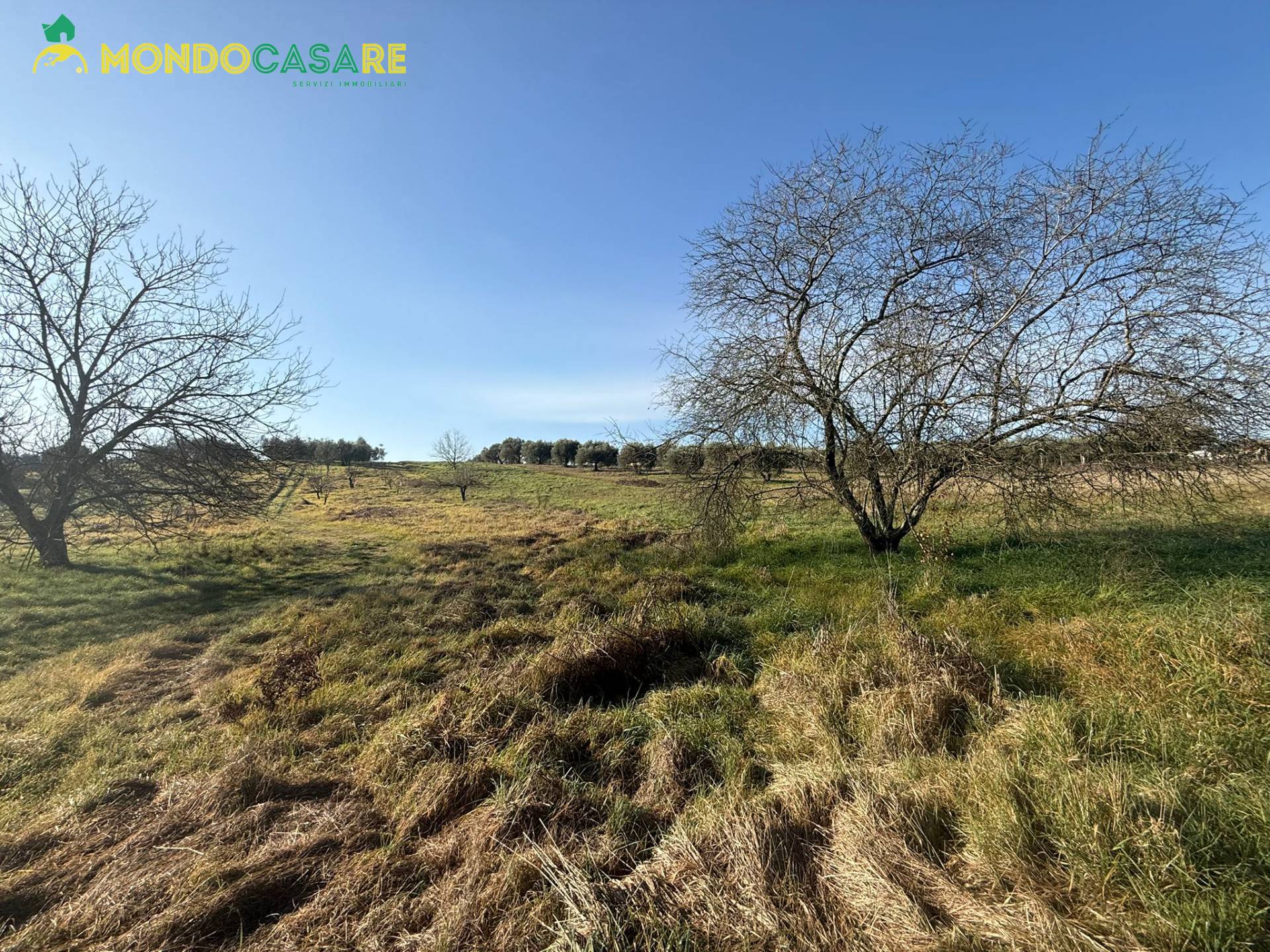 Terreno Agricolo in vendita a Palombara Sabina