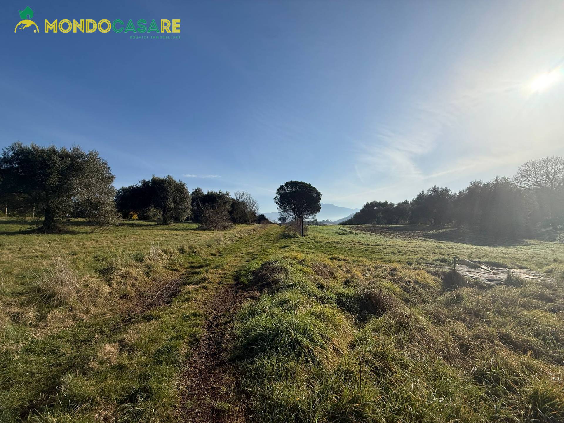 Terreno Agricolo in vendita a Palombara Sabina