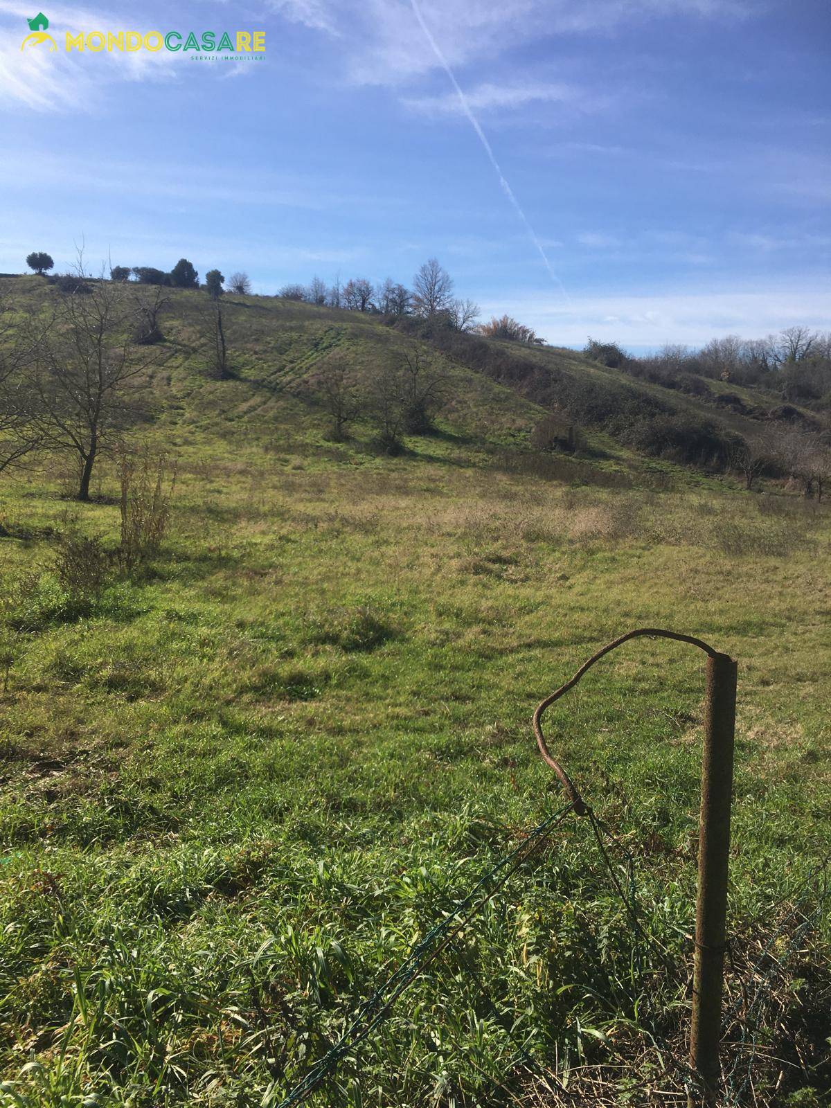 Terreno Agricolo in vendita a Guidonia Montecelio