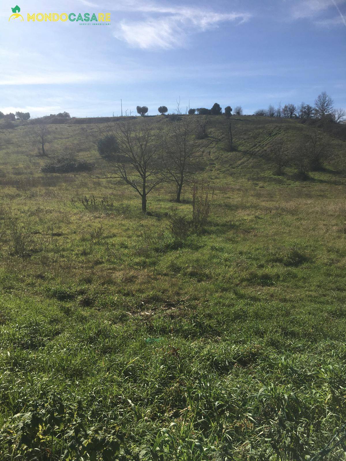 immagine annuncio 1 di 4