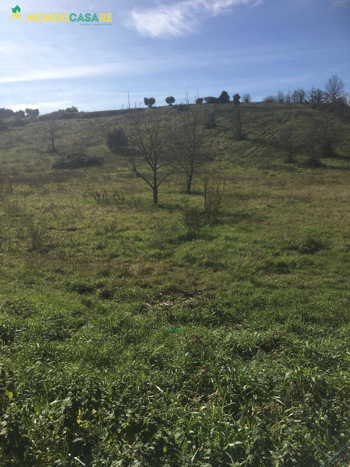 immagine annuncio 2 di 4