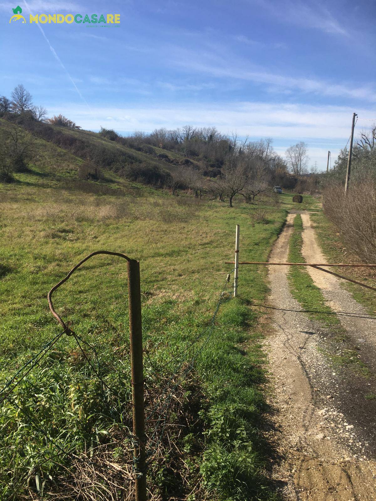 immagine annuncio 3 di 4