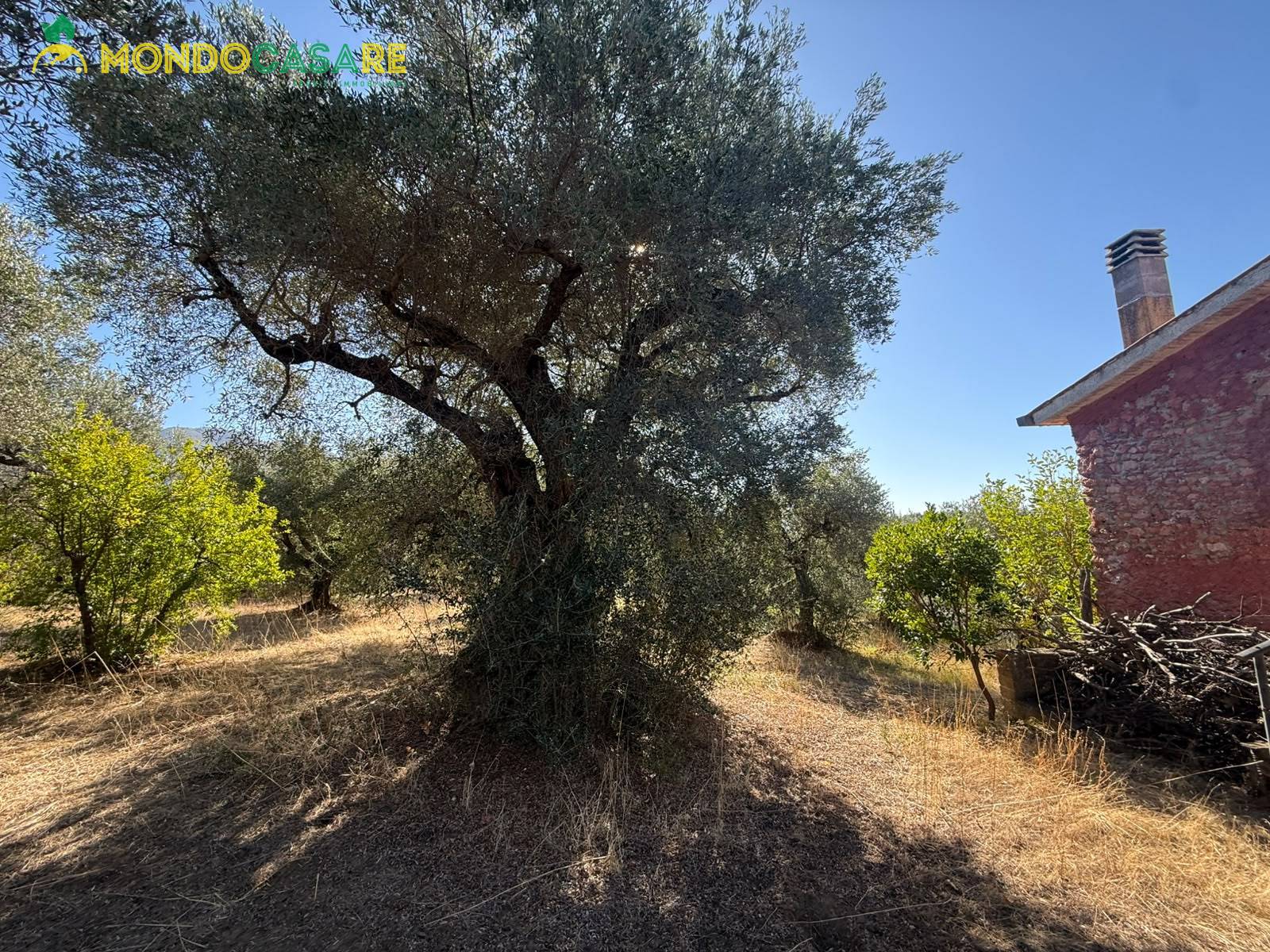 Rustico in vendita a Palombara Sabina