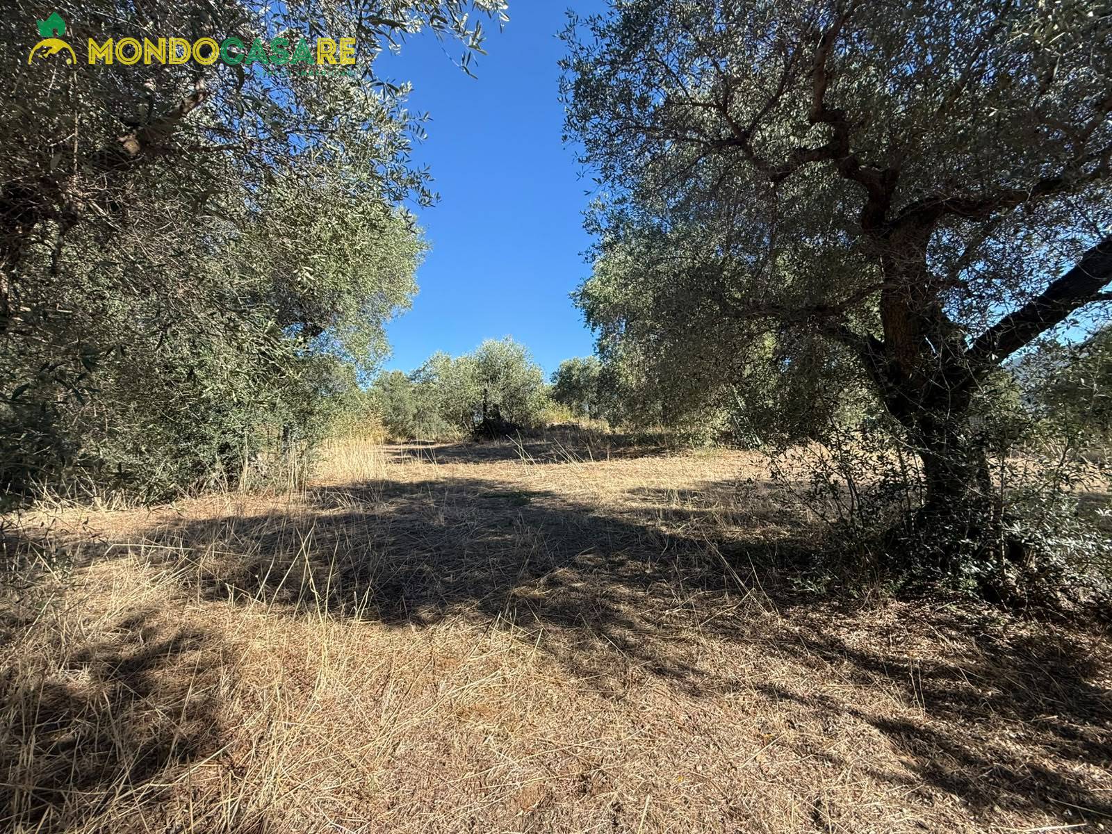 Rustico in vendita a Palombara Sabina