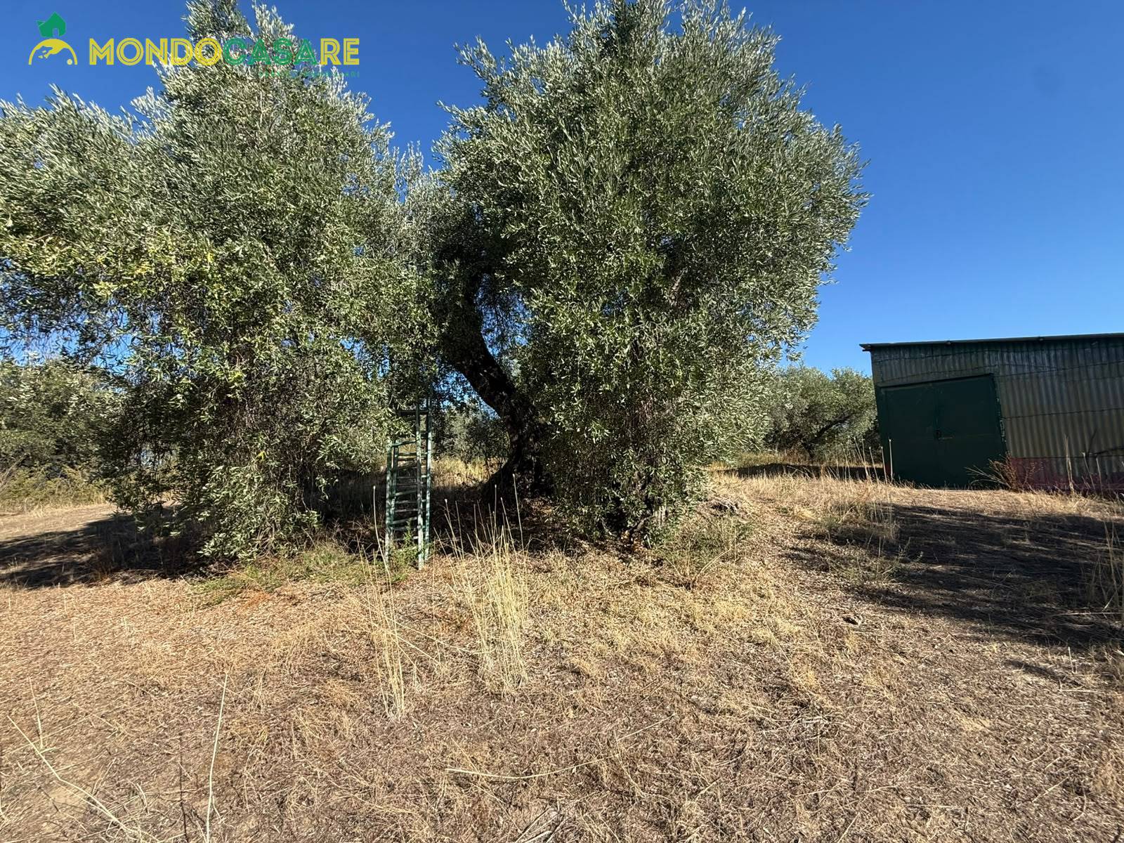 Rustico in vendita a Palombara Sabina
