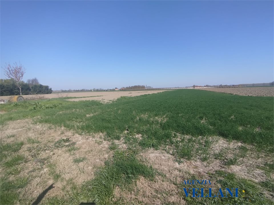 Terreno in vendita, Novi di Modena rovereto