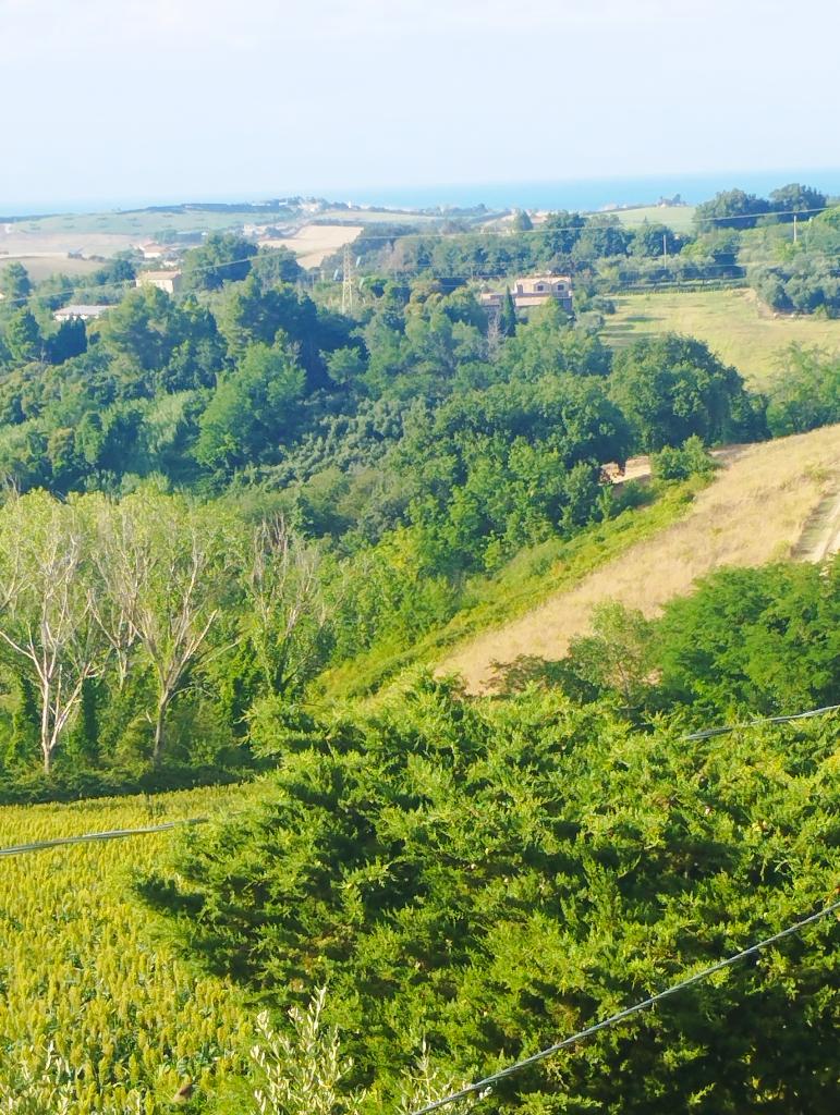 Casa indipendente in vendita a San Costanzo