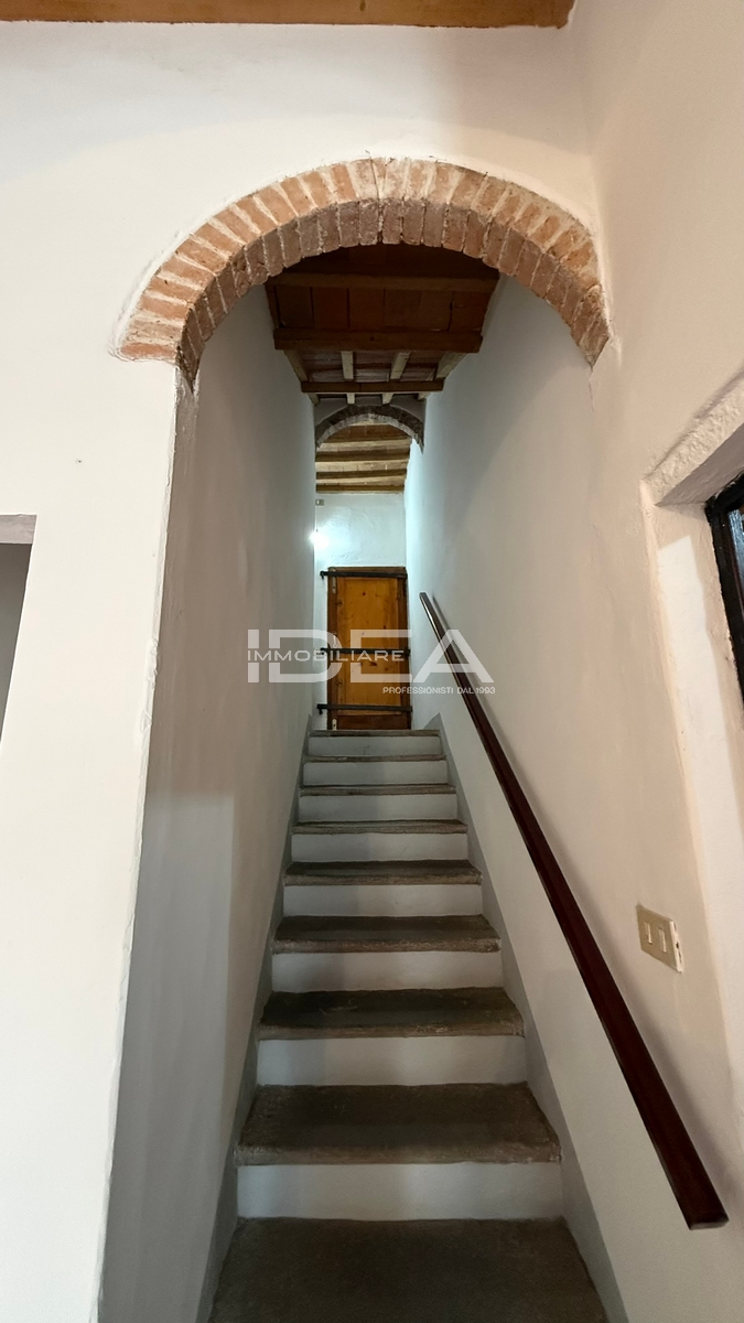 Villa con giardino in via di montecarlo, Montecarlo