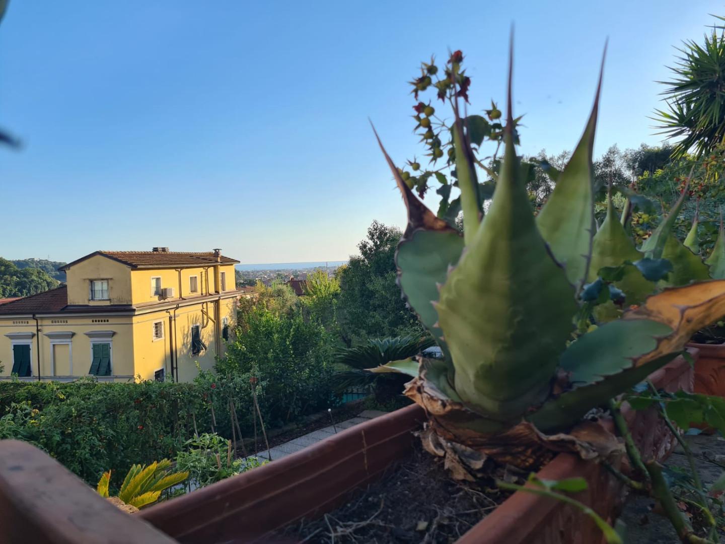 Villa con giardino, Carrara stabbio