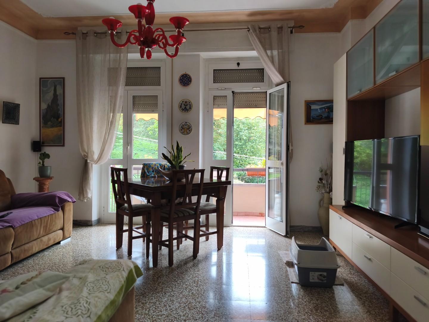 Quadrilocale ristrutturato, Carrara codena