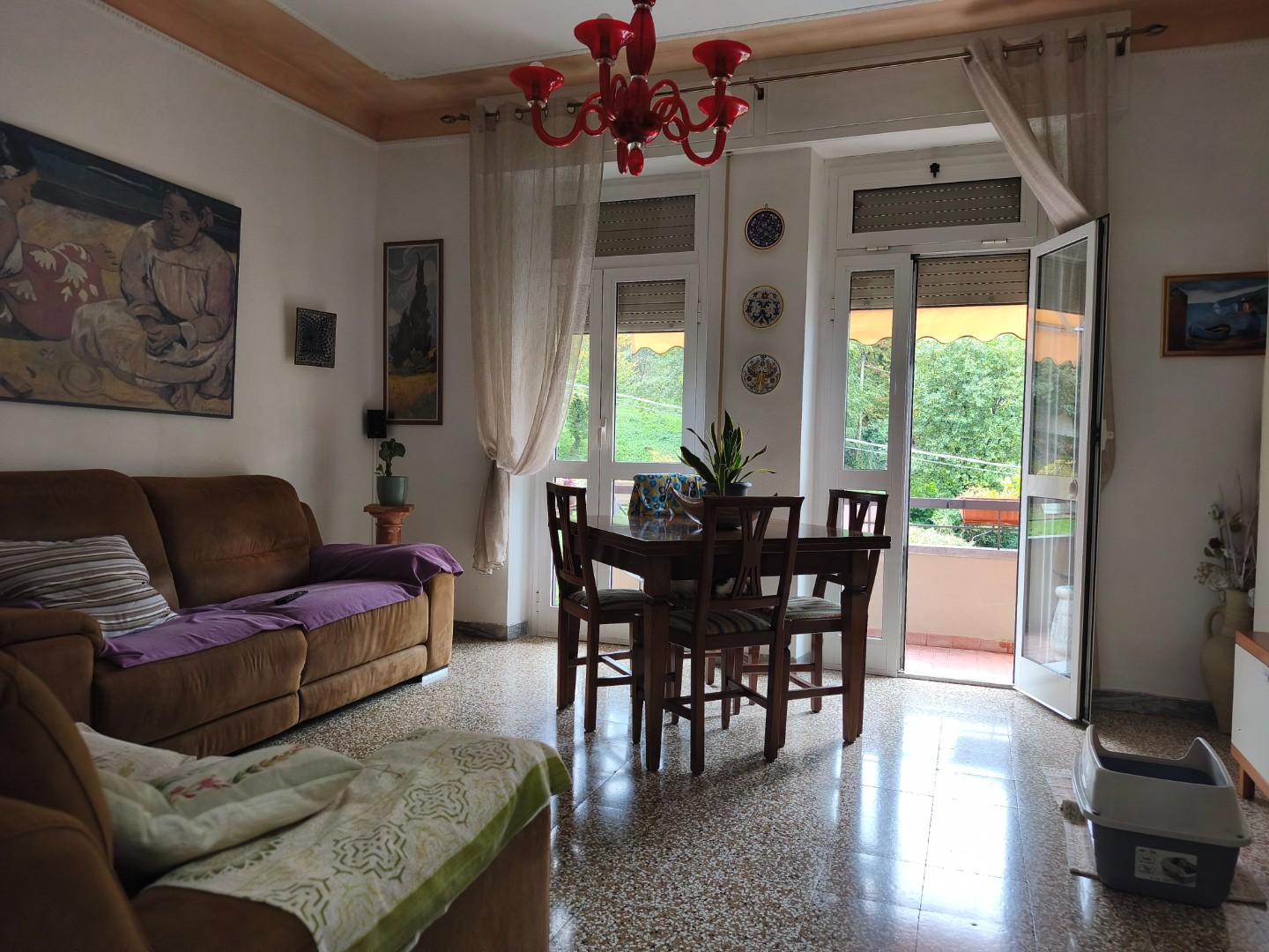 Quadrilocale ristrutturato, Carrara codena