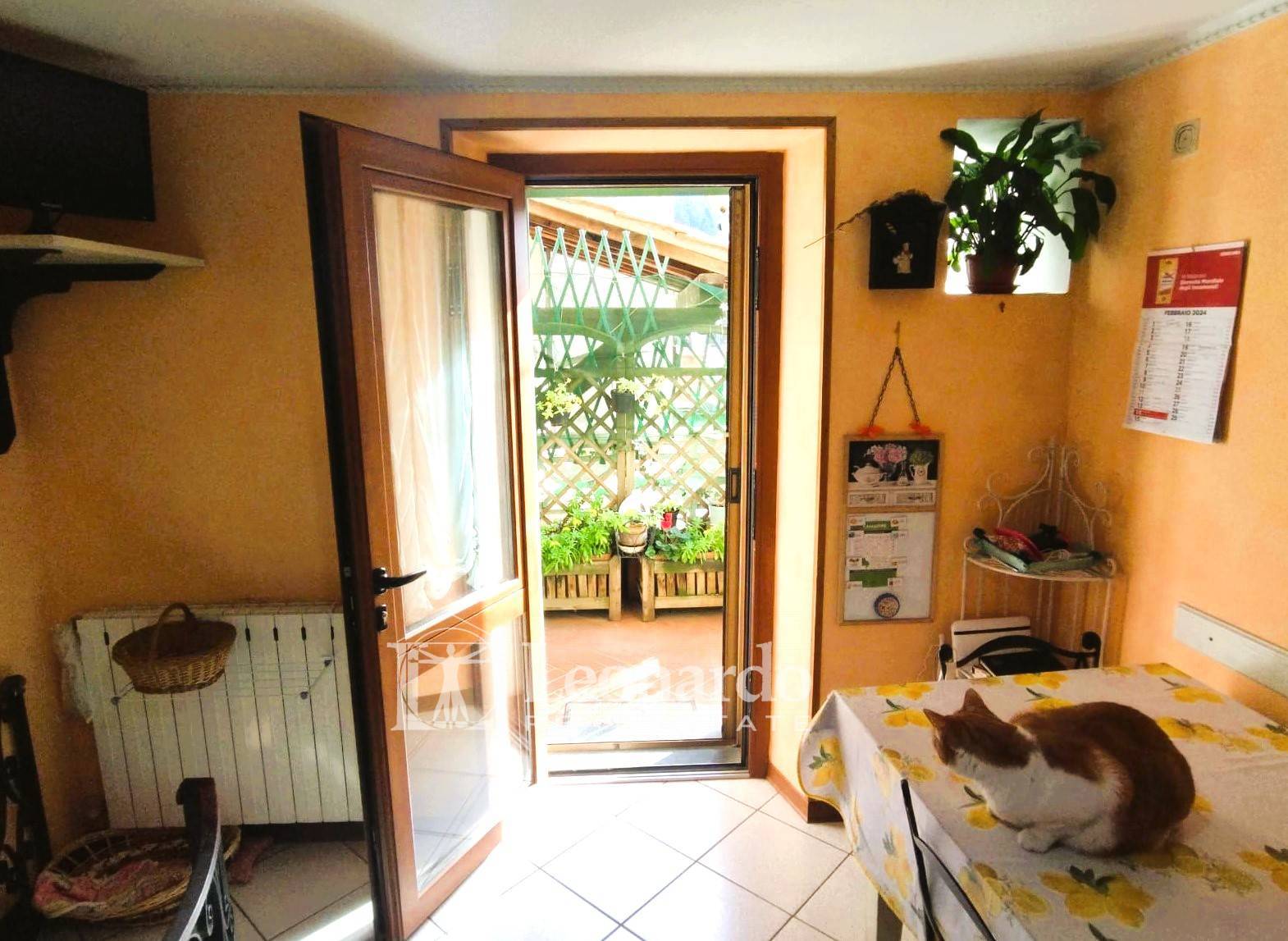 Casa indipendente in vendita, Camaiore collina