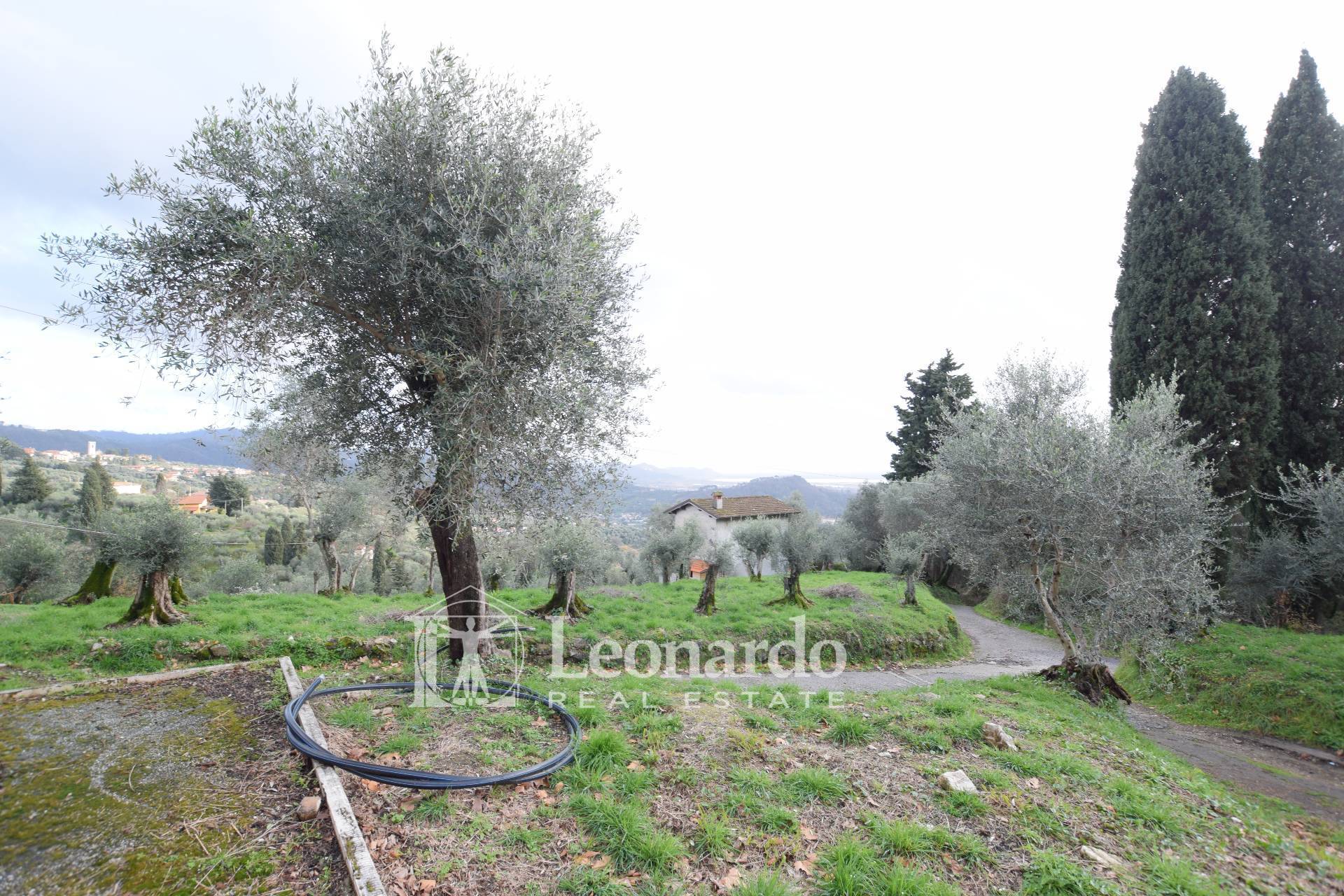 Villa in vendita a Massarosa