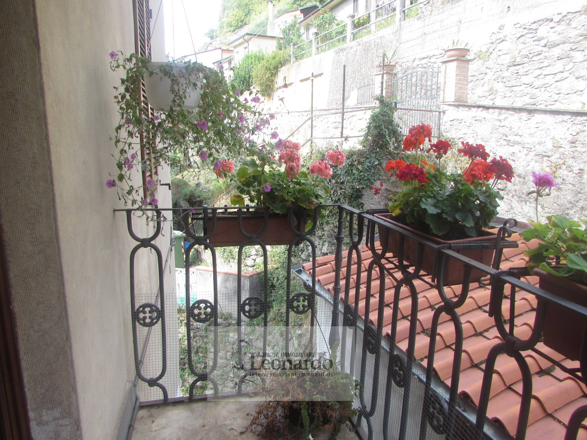 Terratetto in vendita a Camaiore, Collina