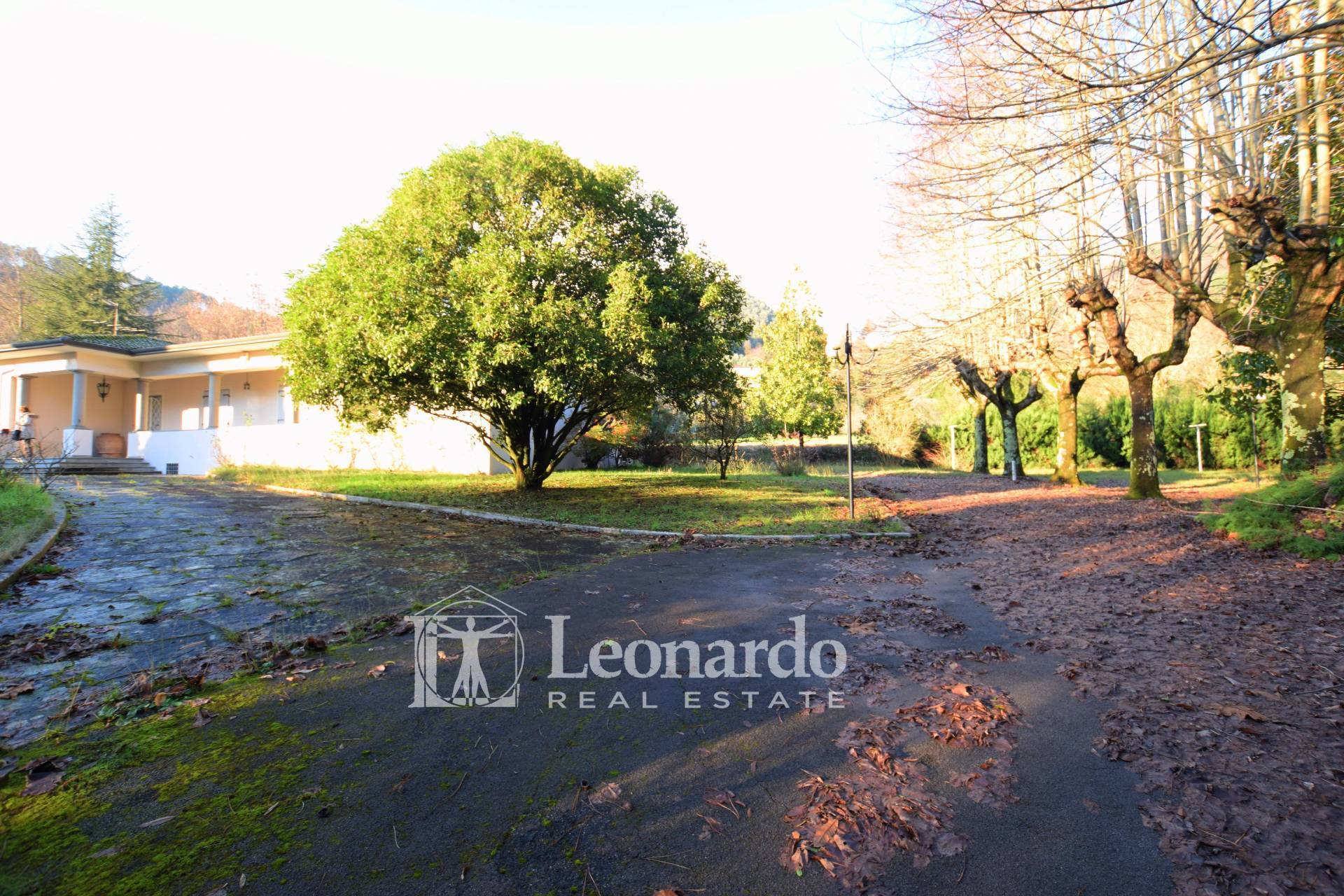 Villa in vendita a Camaiore, Collina