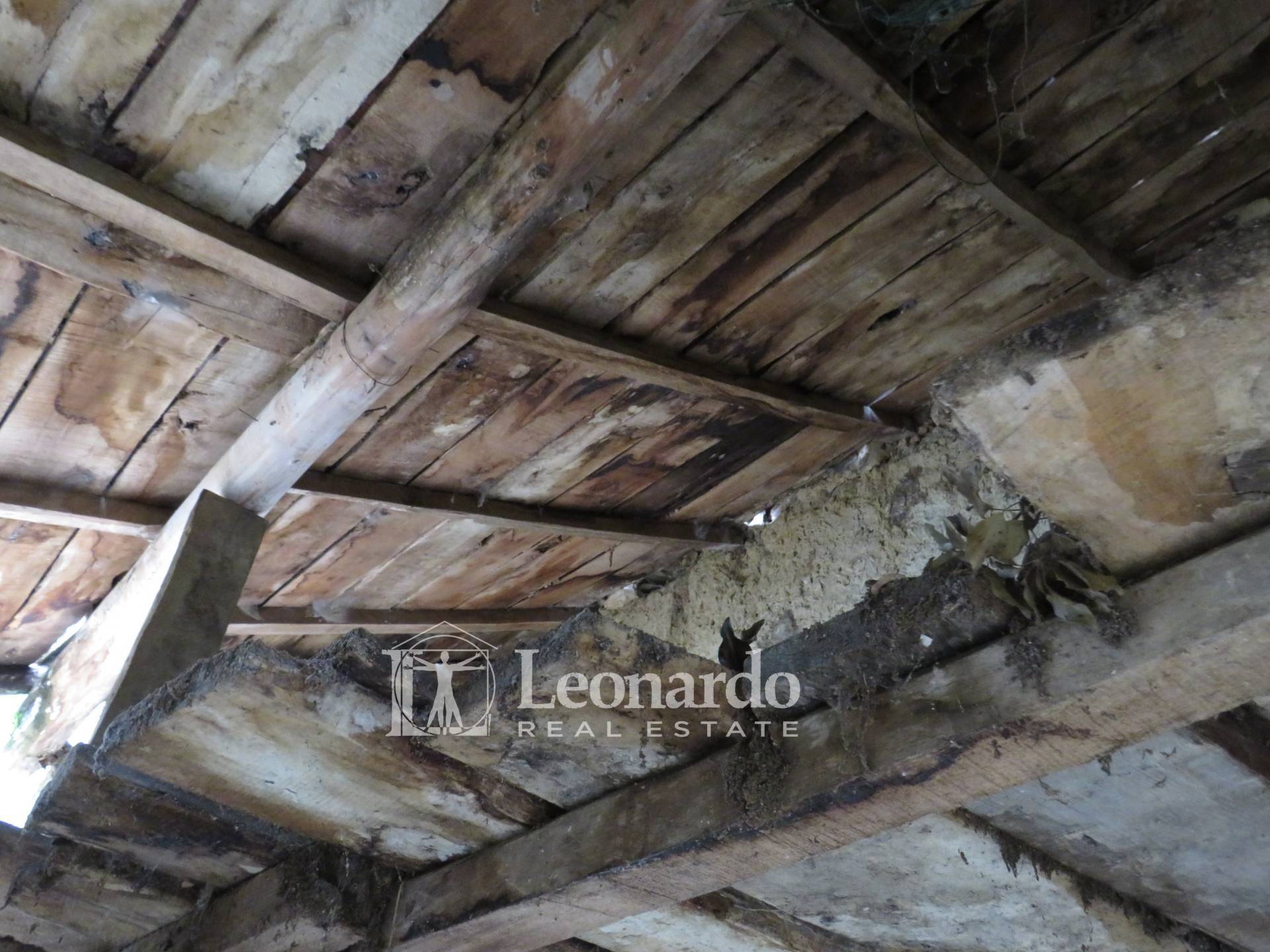 Annesso in vendita a Camaiore, Collina