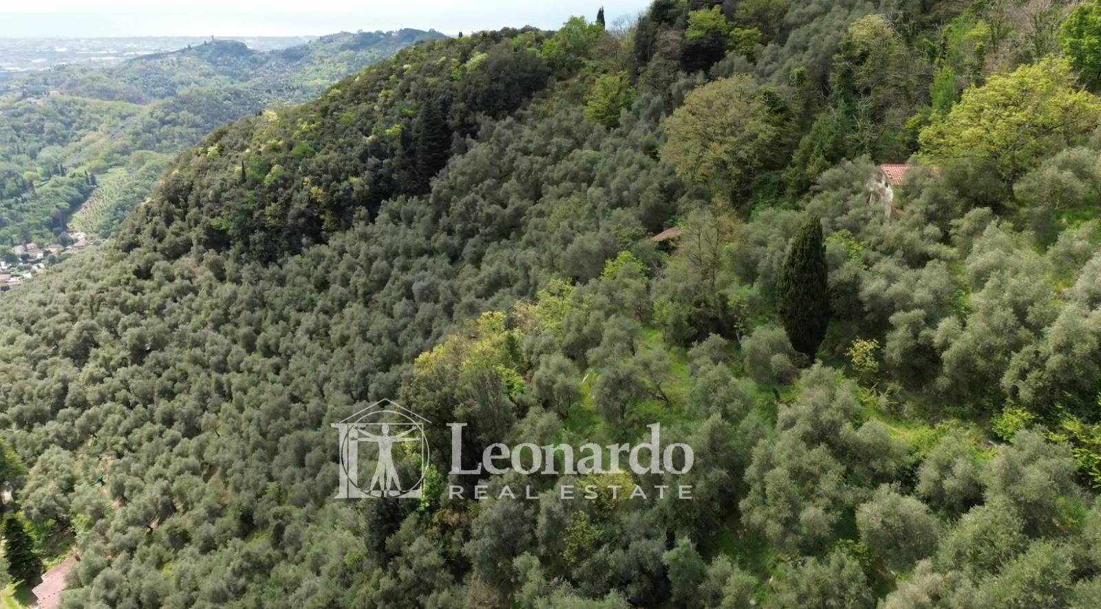 Annesso in vendita a Camaiore, Collina