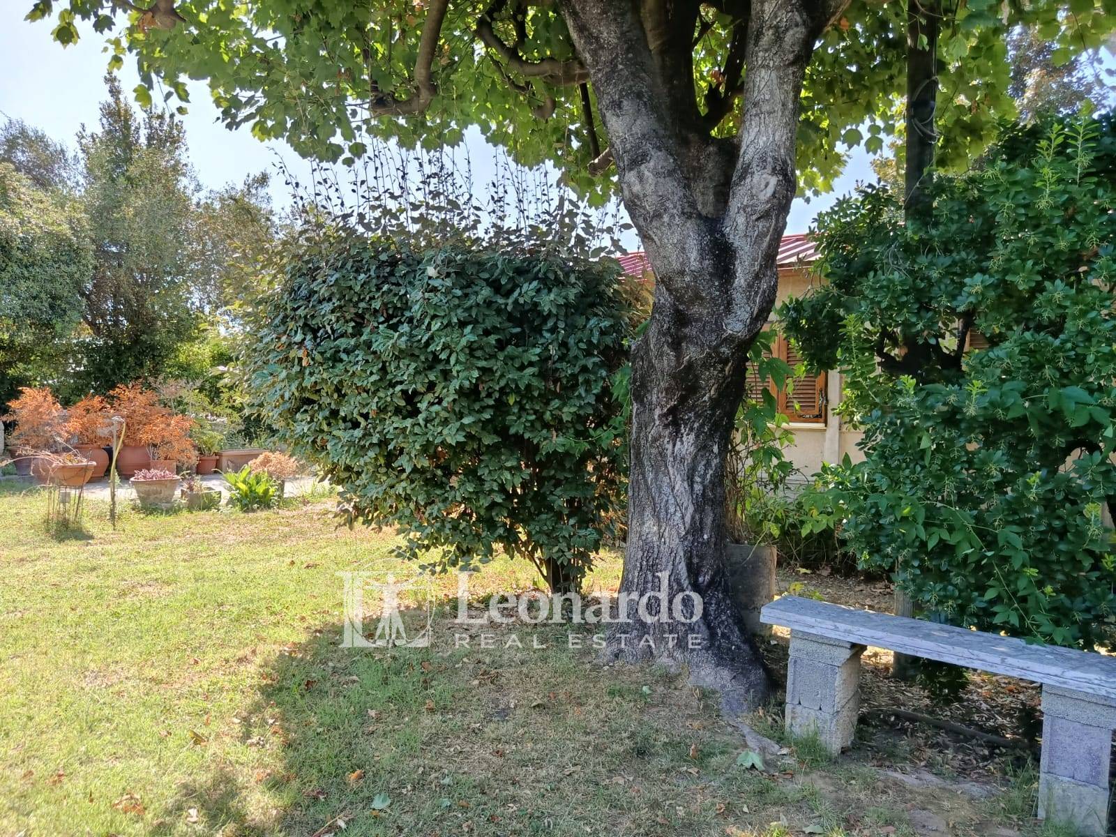 Casa singola in vendita a Pietrasanta, Centro Storico