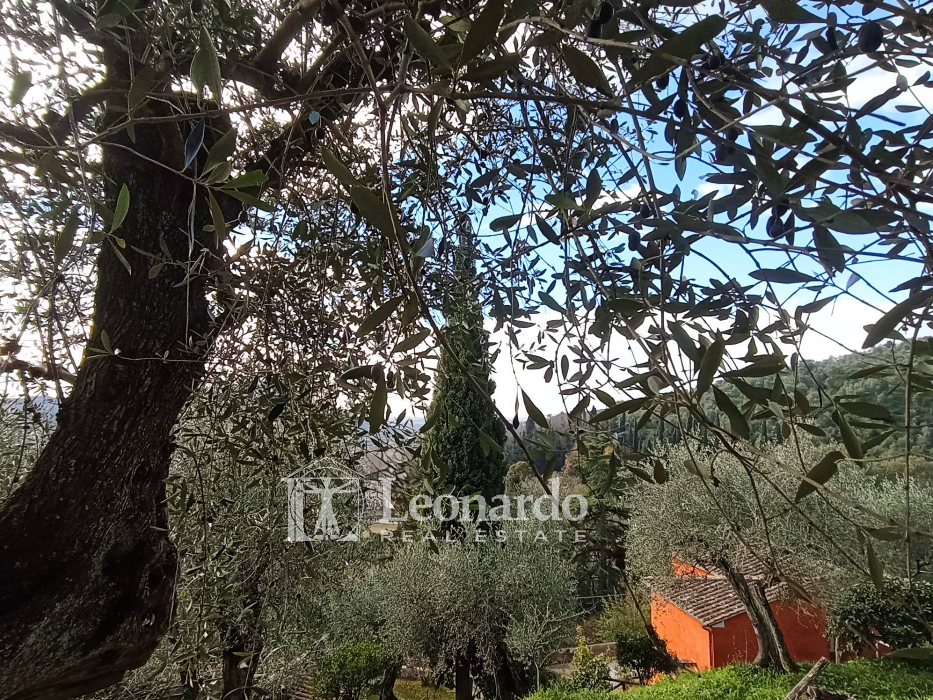 Rustico in vendita a Massarosa, Stiava