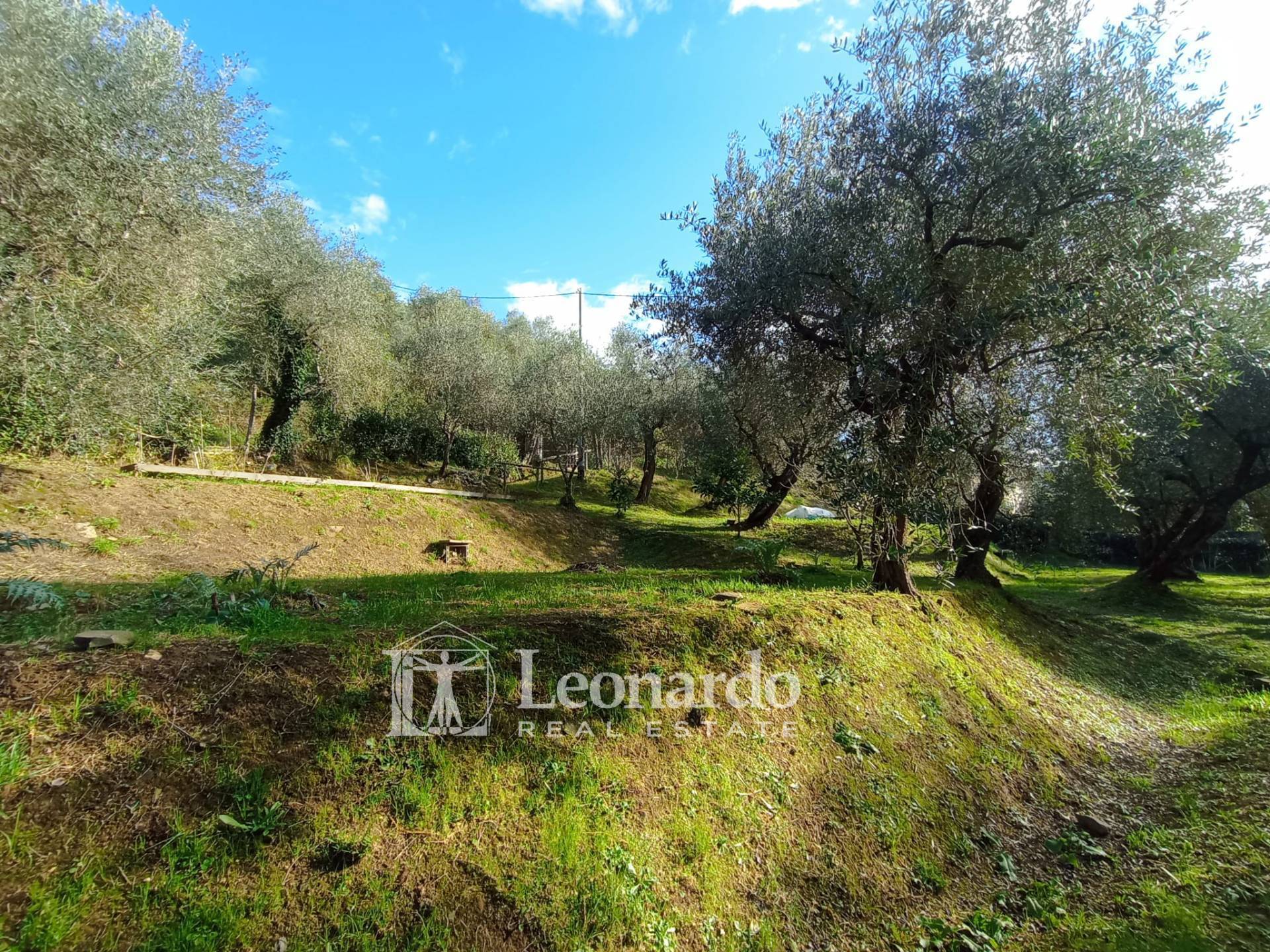 Rustico in vendita a Massarosa, Stiava