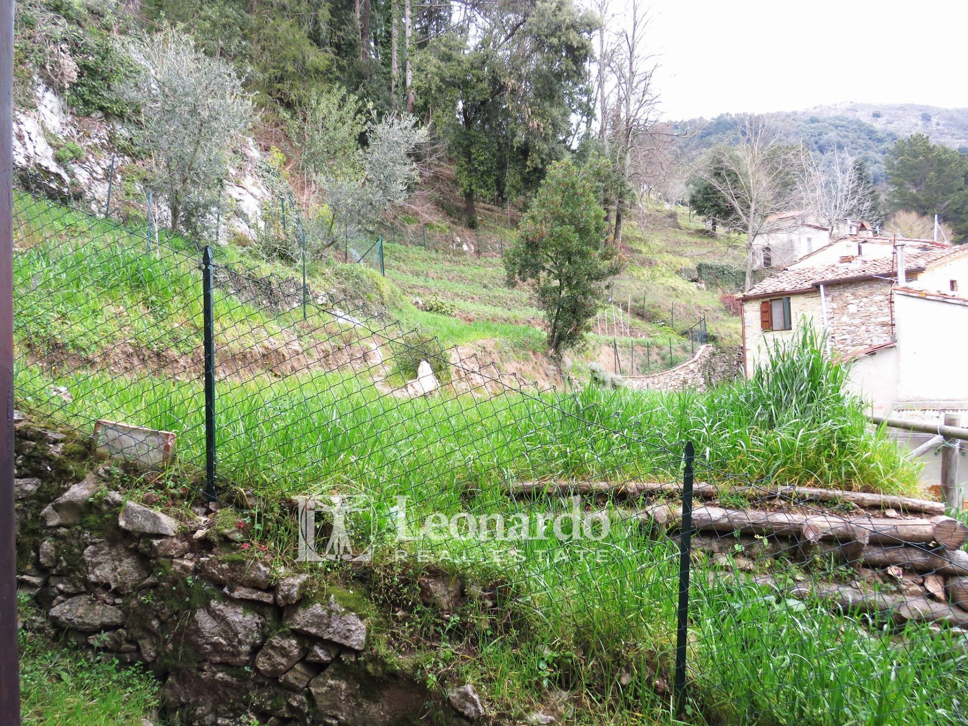 Casa indipendente in vendita a Camaiore, Collina