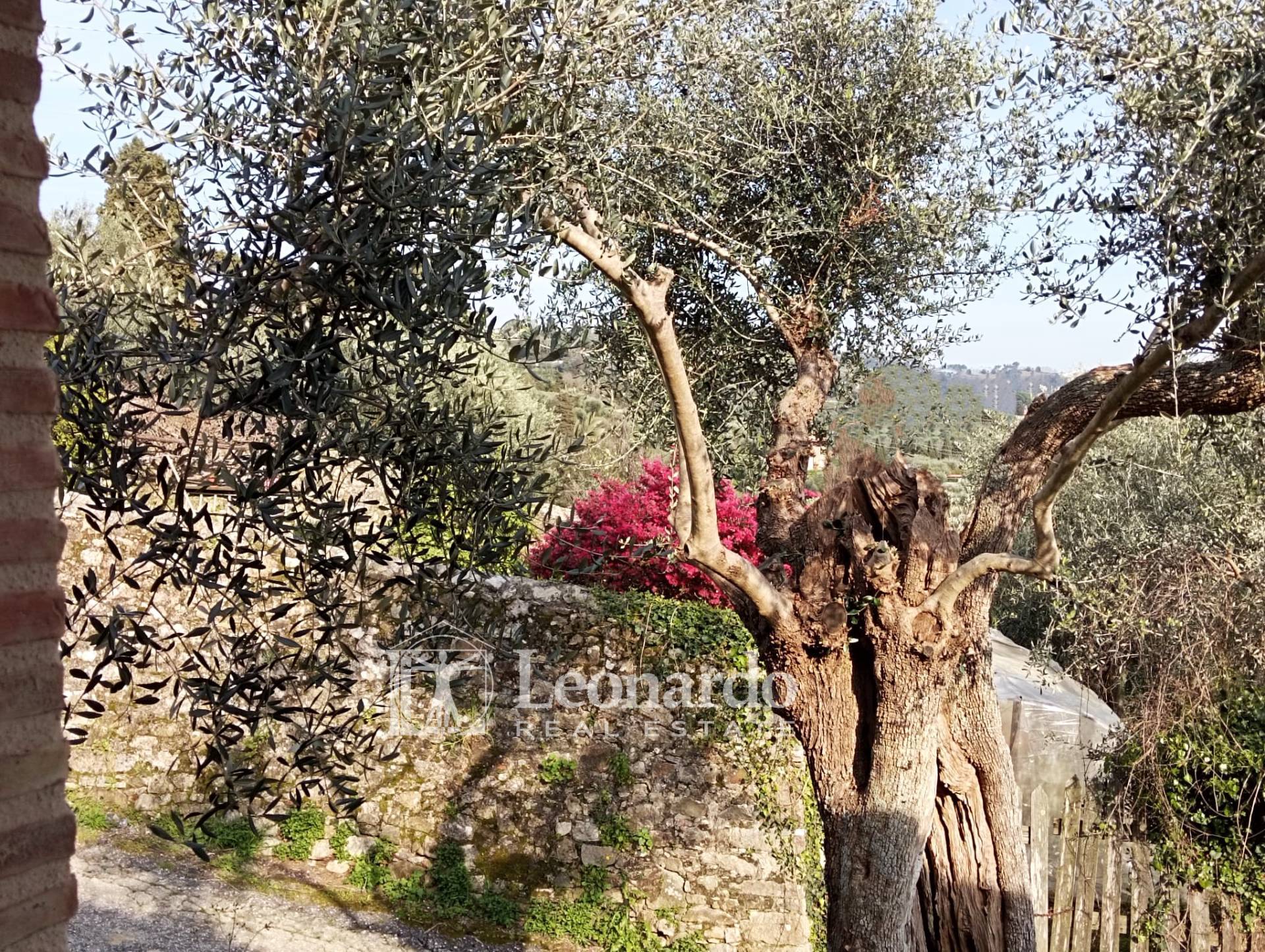 Villa in vendita a Massarosa, Corsanico