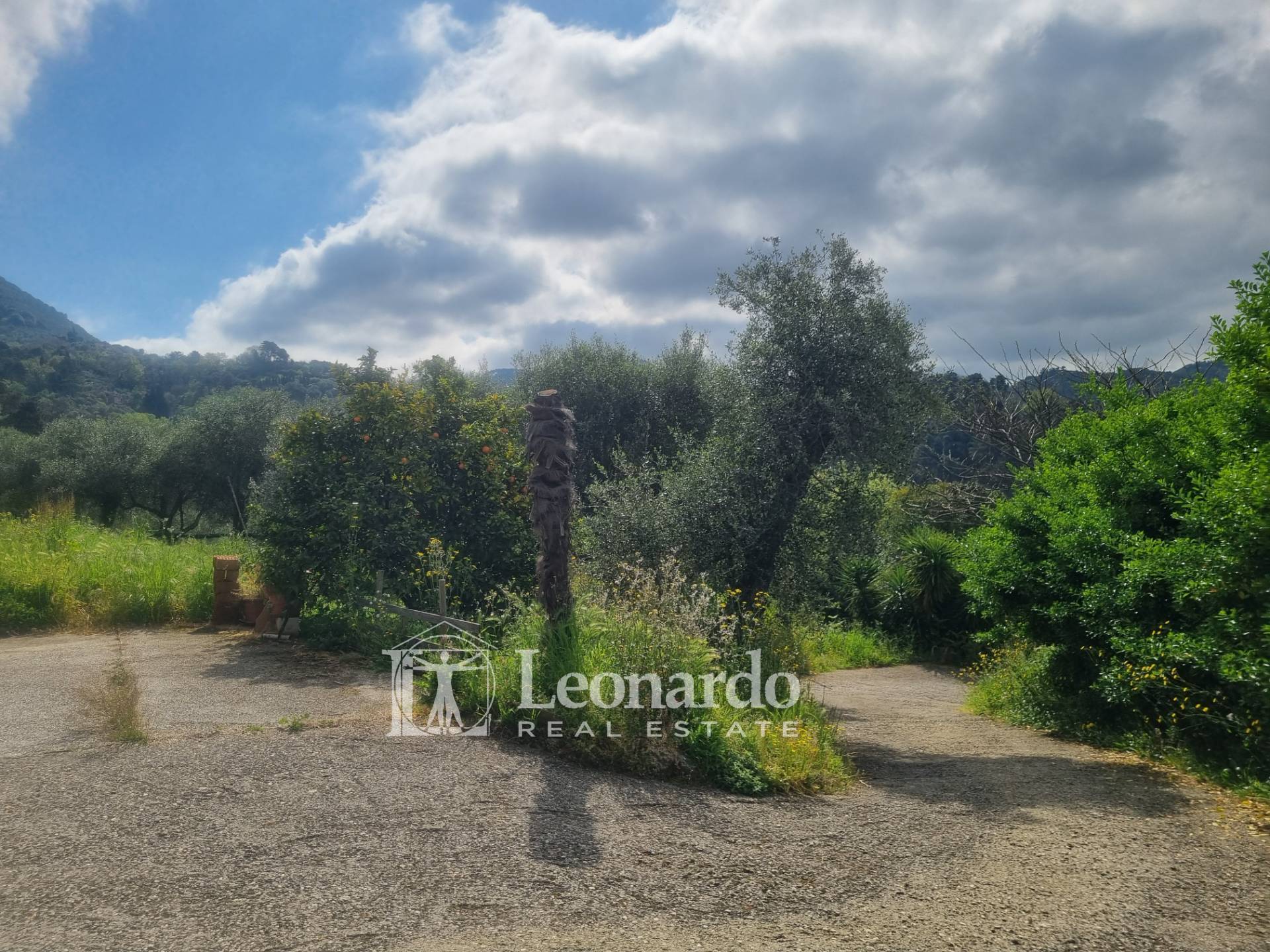 Casa indipendente in vendita a Camaiore, Collina