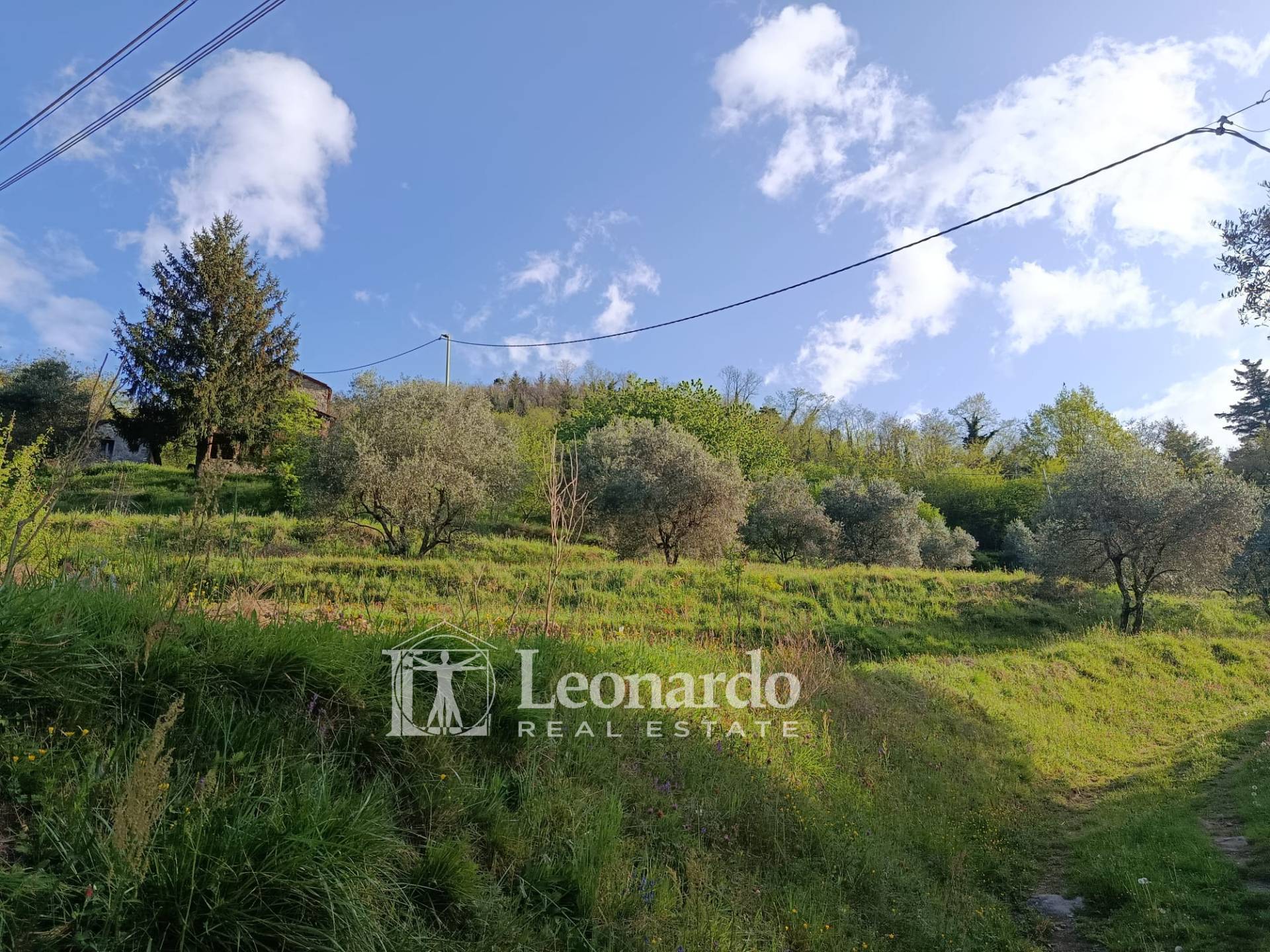 Rustico in vendita a Barga