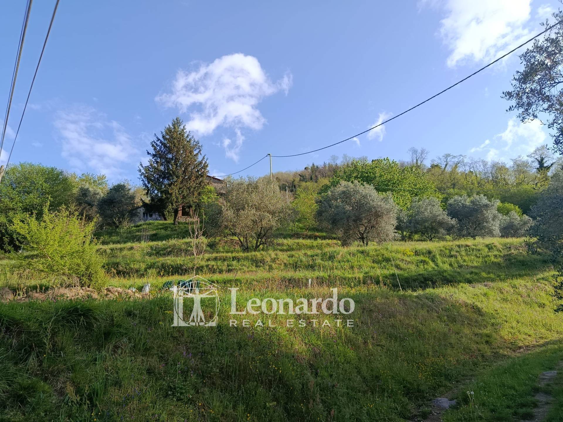 Rustico in vendita a Barga