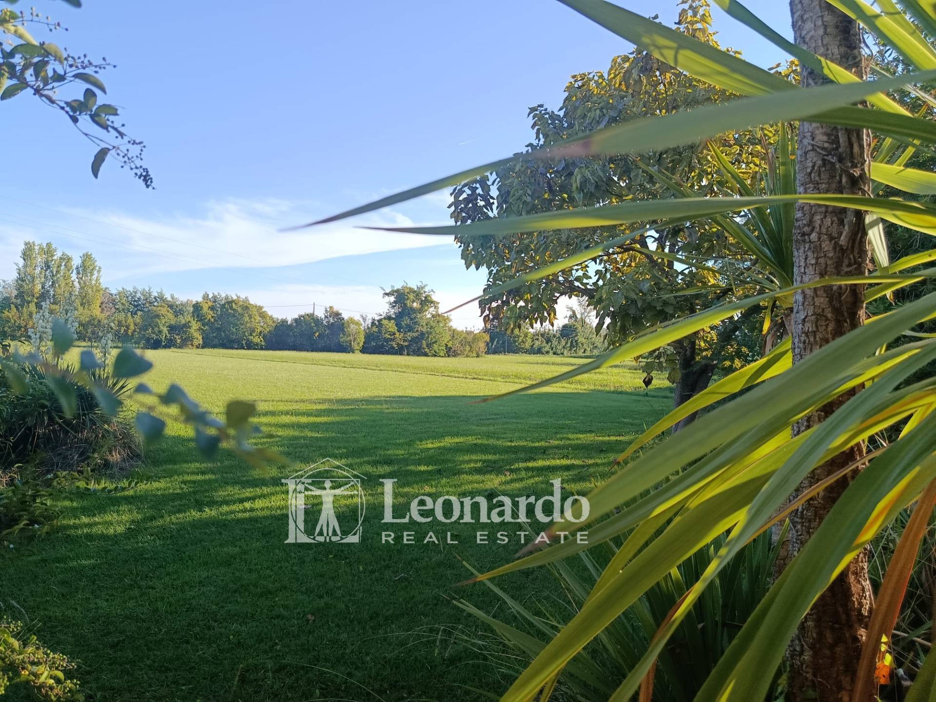 Rustico in vendita a Camaiore, Capezzano Pianore
