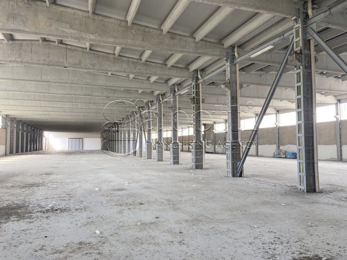 Capannone in vendita a Terre del Reno