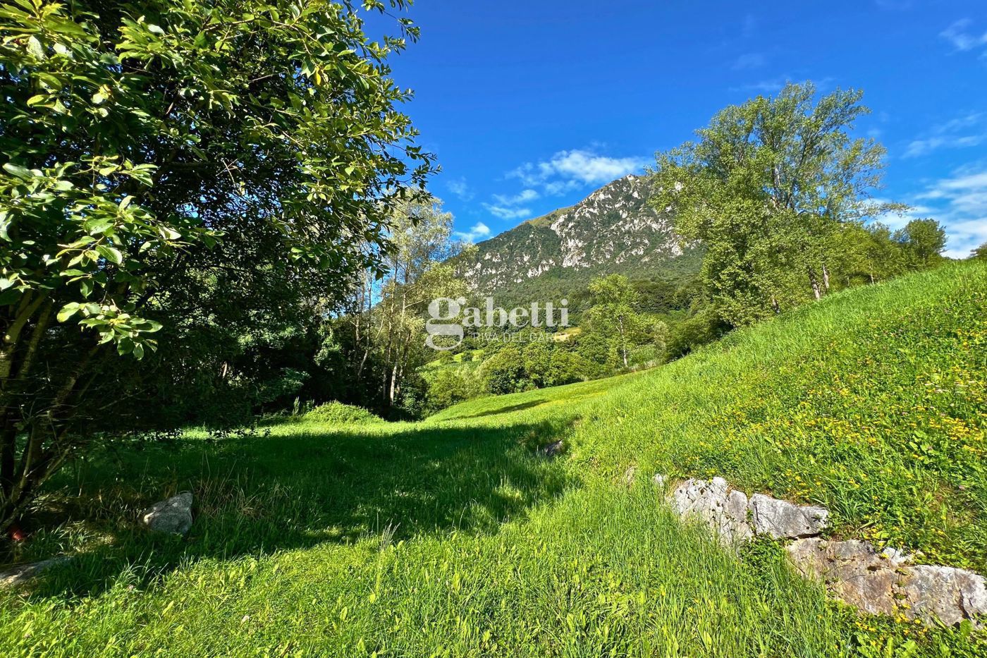 Attivit� commerciale in vendita a Bleggio Superiore