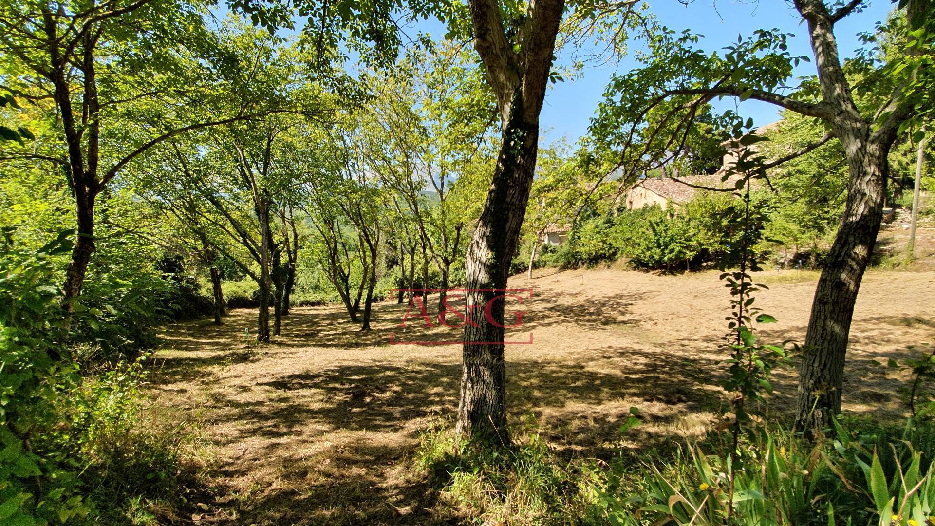 Casa colonica in vendita a Montefortino, Campagna