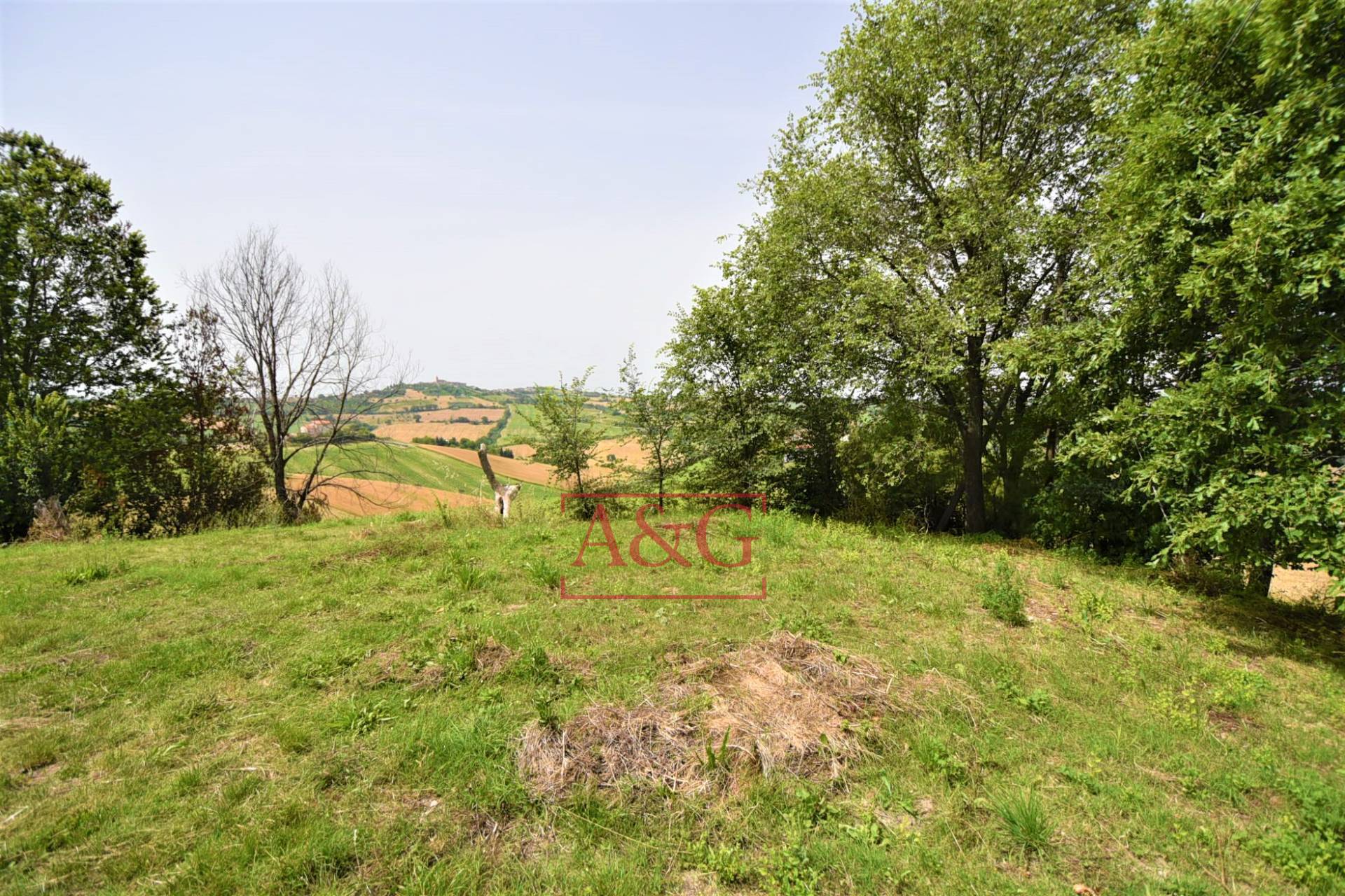 Terreno Agricolo in vendita a Torre San Patrizio, Centro