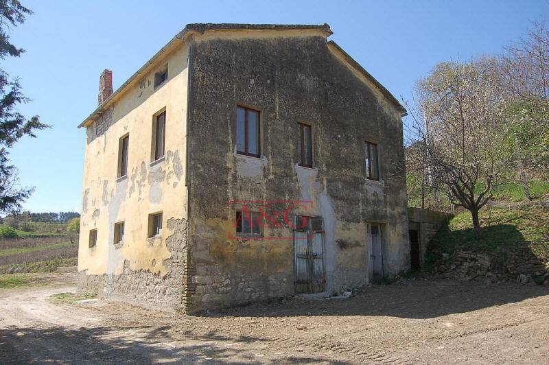 immagine annuncio 3 di 6