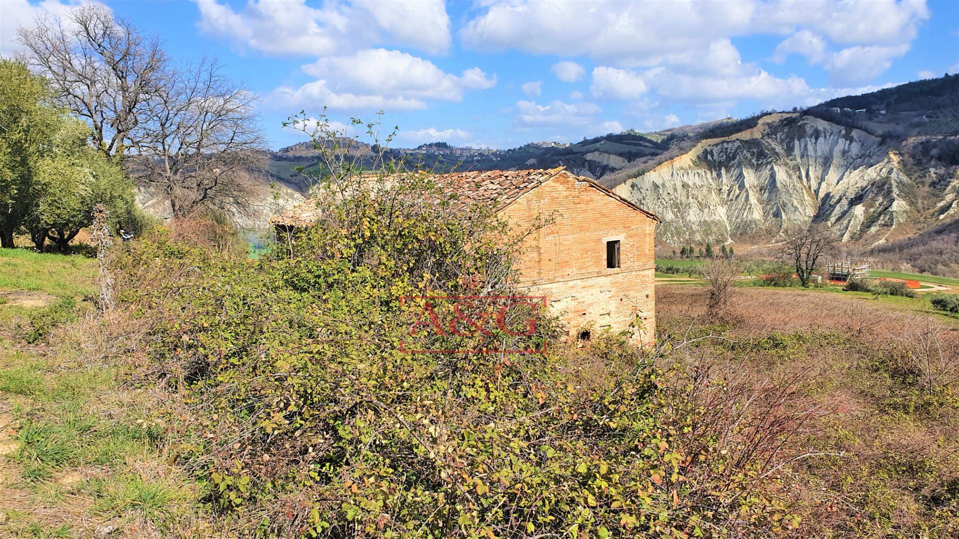 immagine annuncio 3 di 6