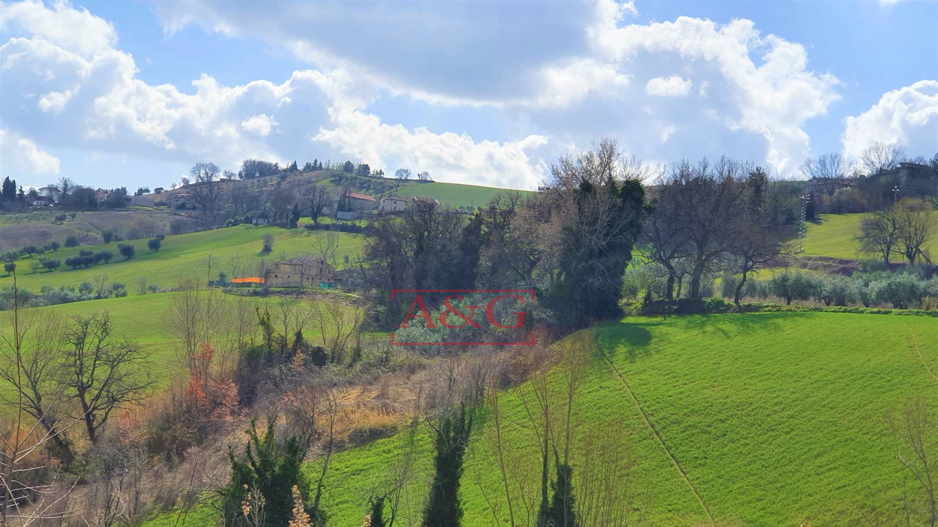 immagine annuncio 4 di 6