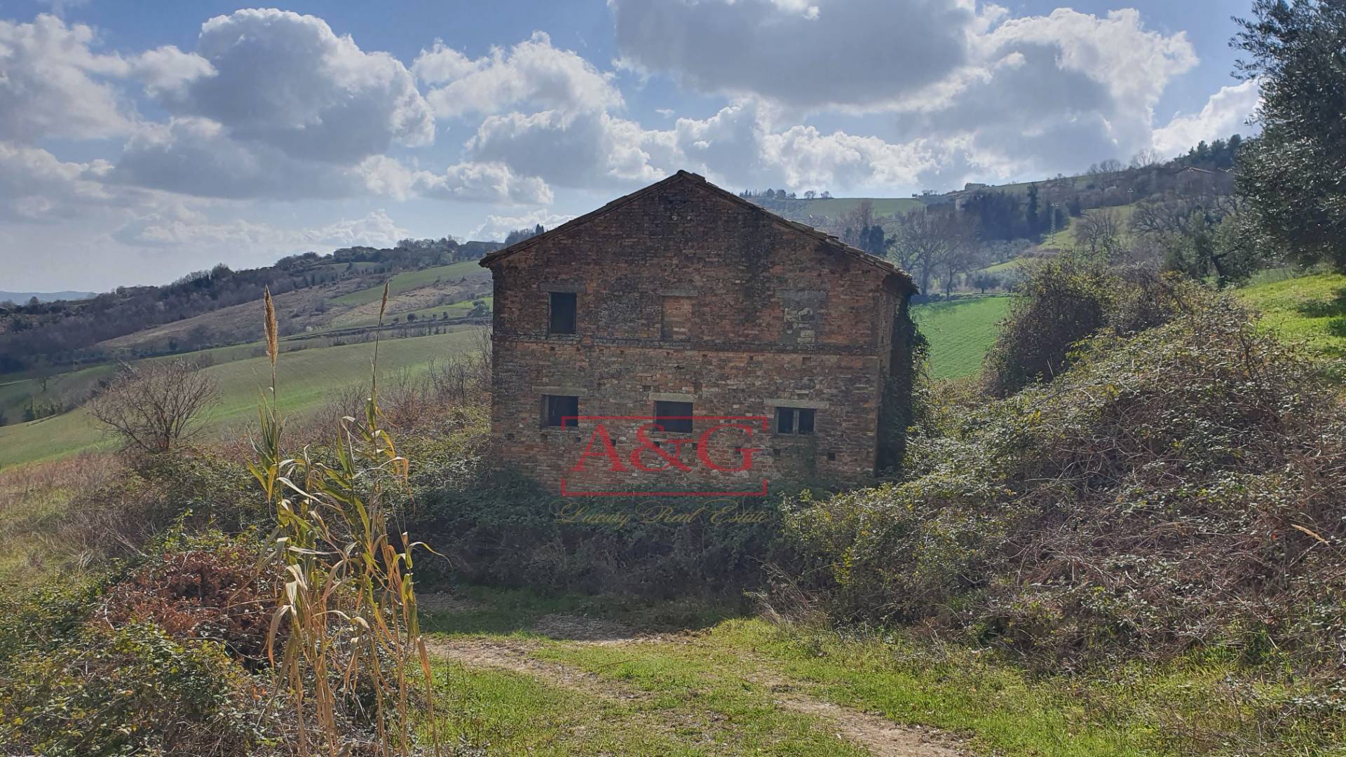immagine annuncio 5 di 6