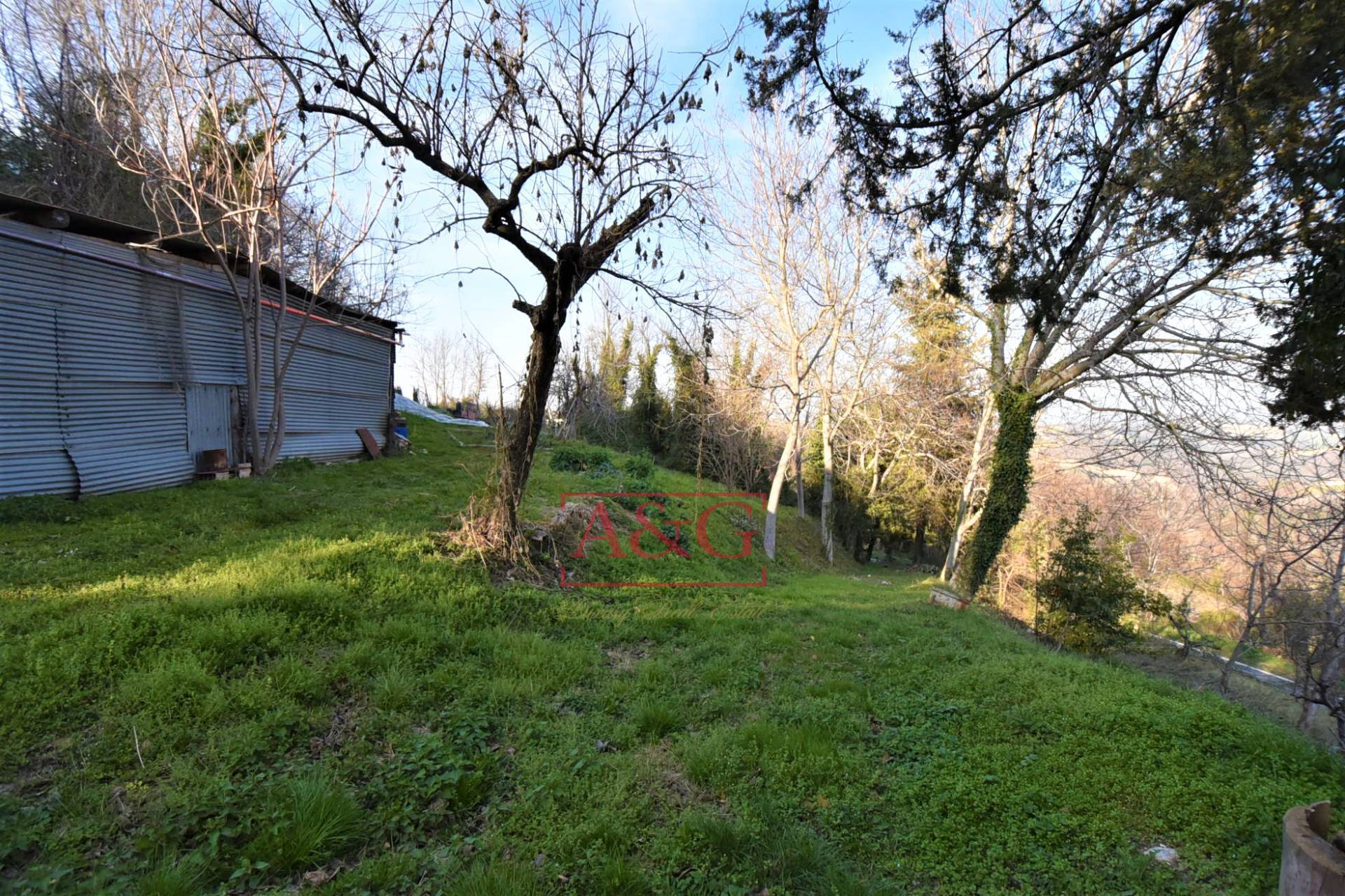 immagine annuncio 5 di 6