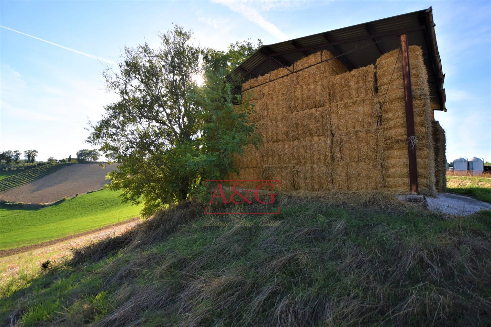 Casale in vendita a Mogliano, CAMPAGNA