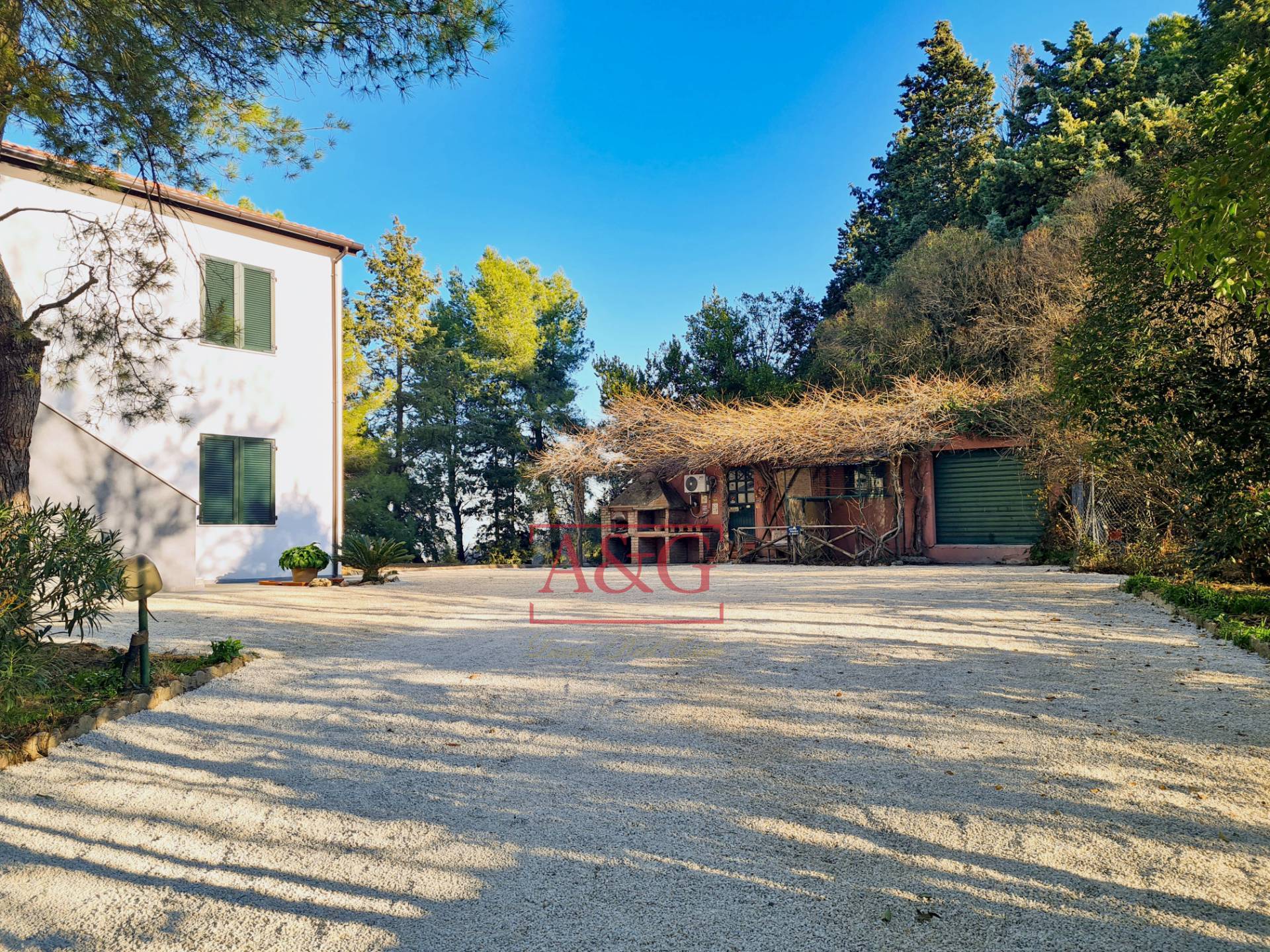 immagine annuncio 2 di 6