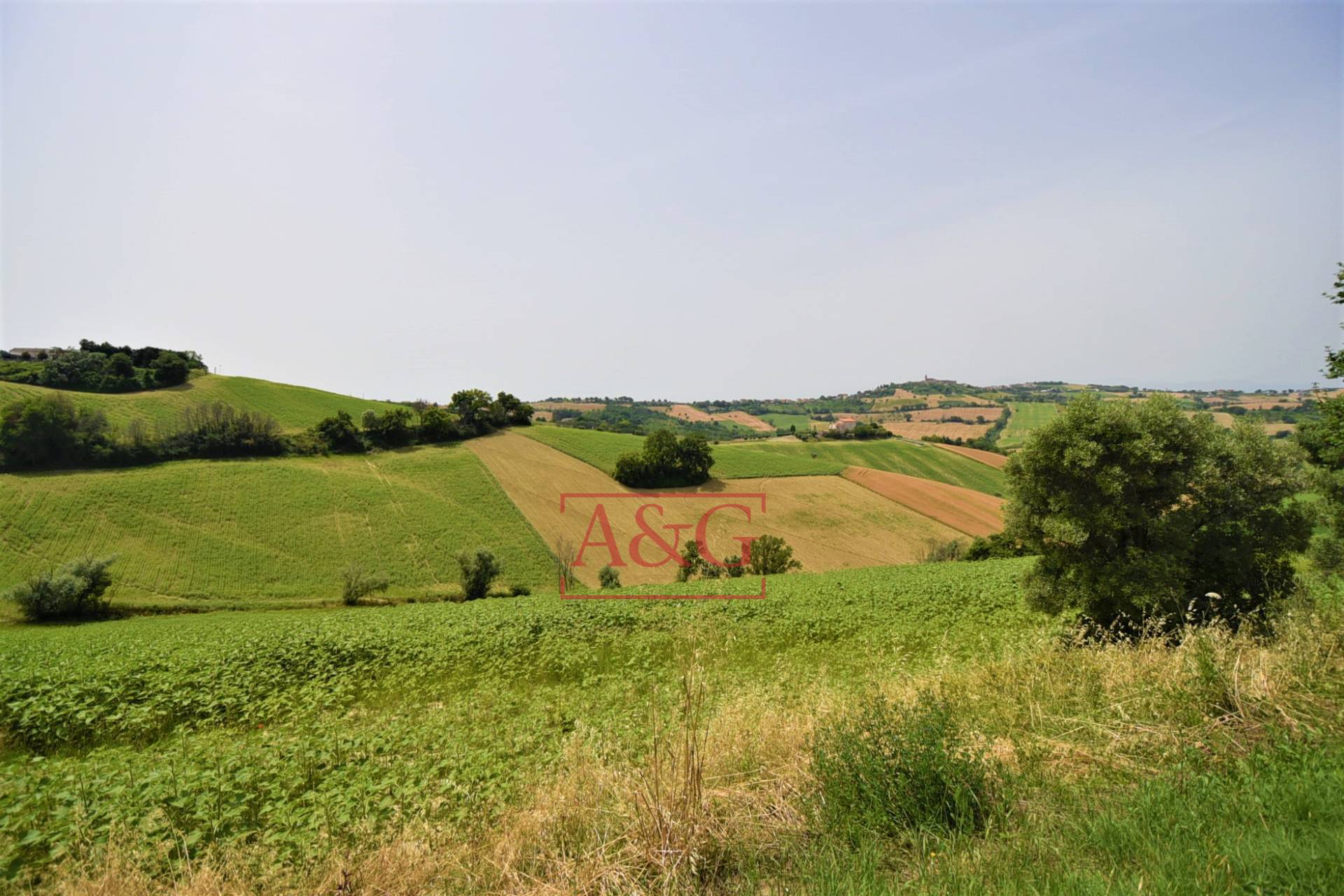 Terreno Agricolo in vendita a Torre San Patrizio, Centro