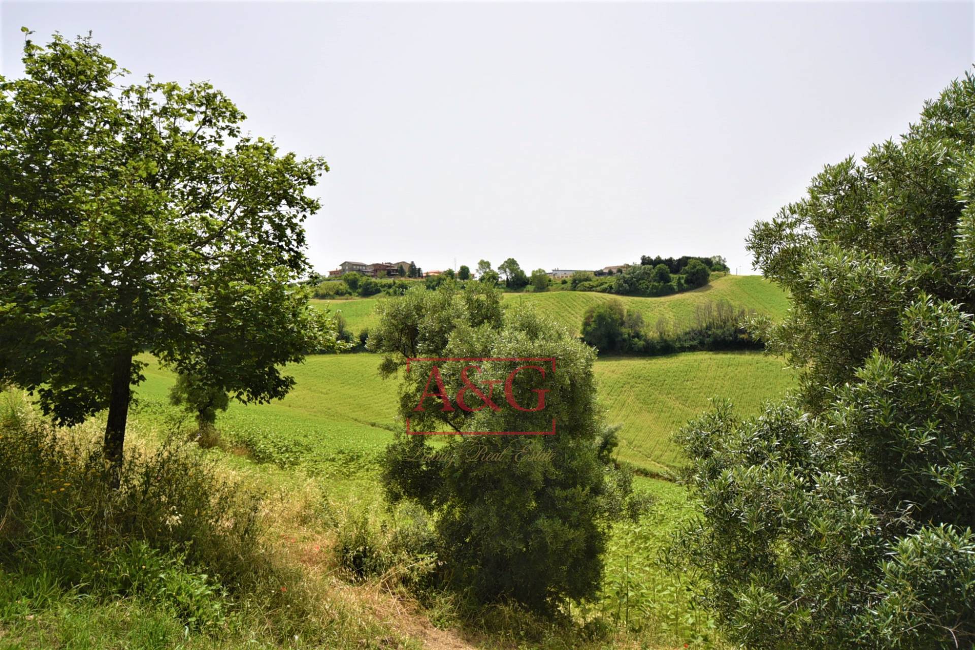 Terreno Agricolo in vendita a Torre San Patrizio, Centro