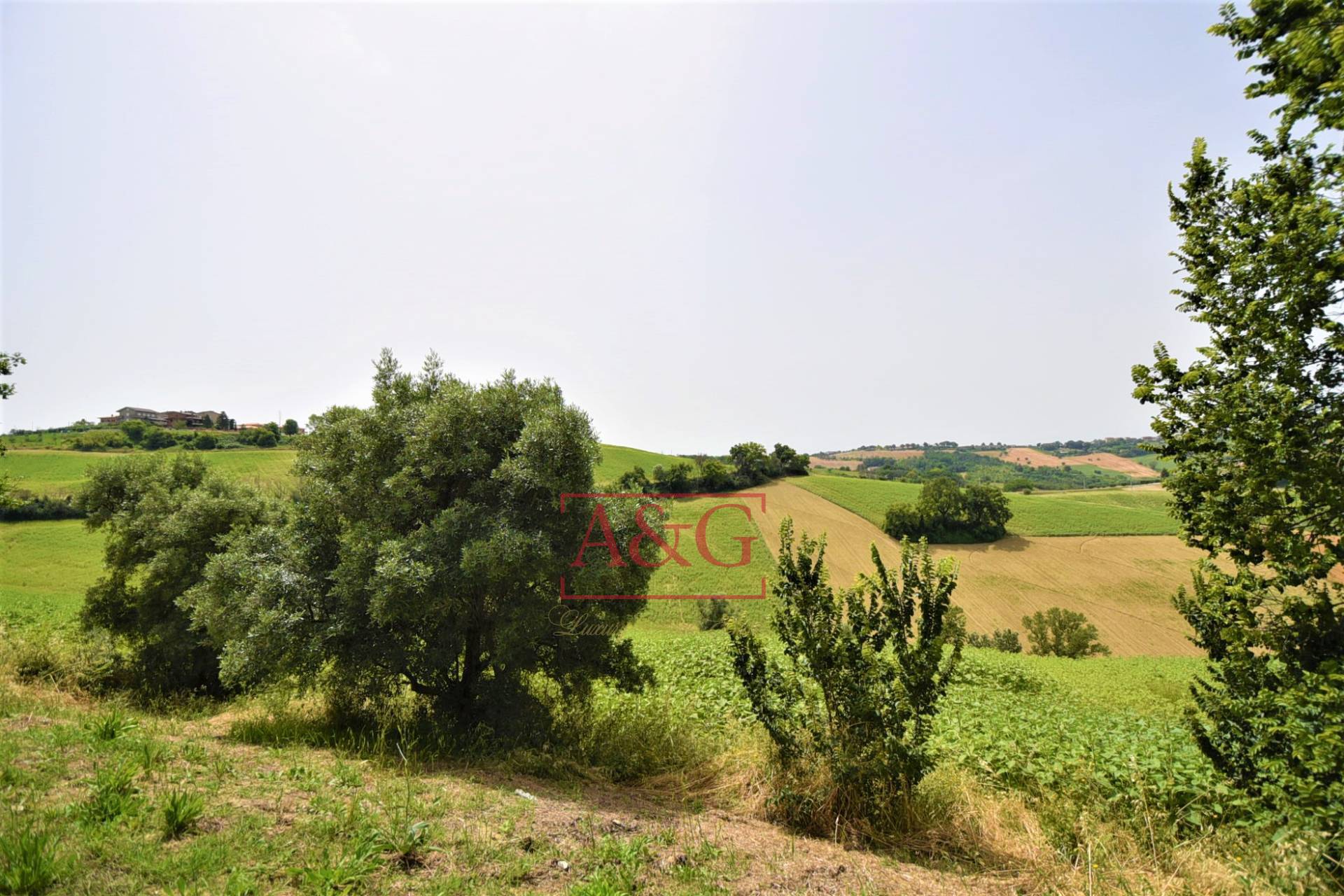 Terreno Agricolo in vendita a Torre San Patrizio, Centro