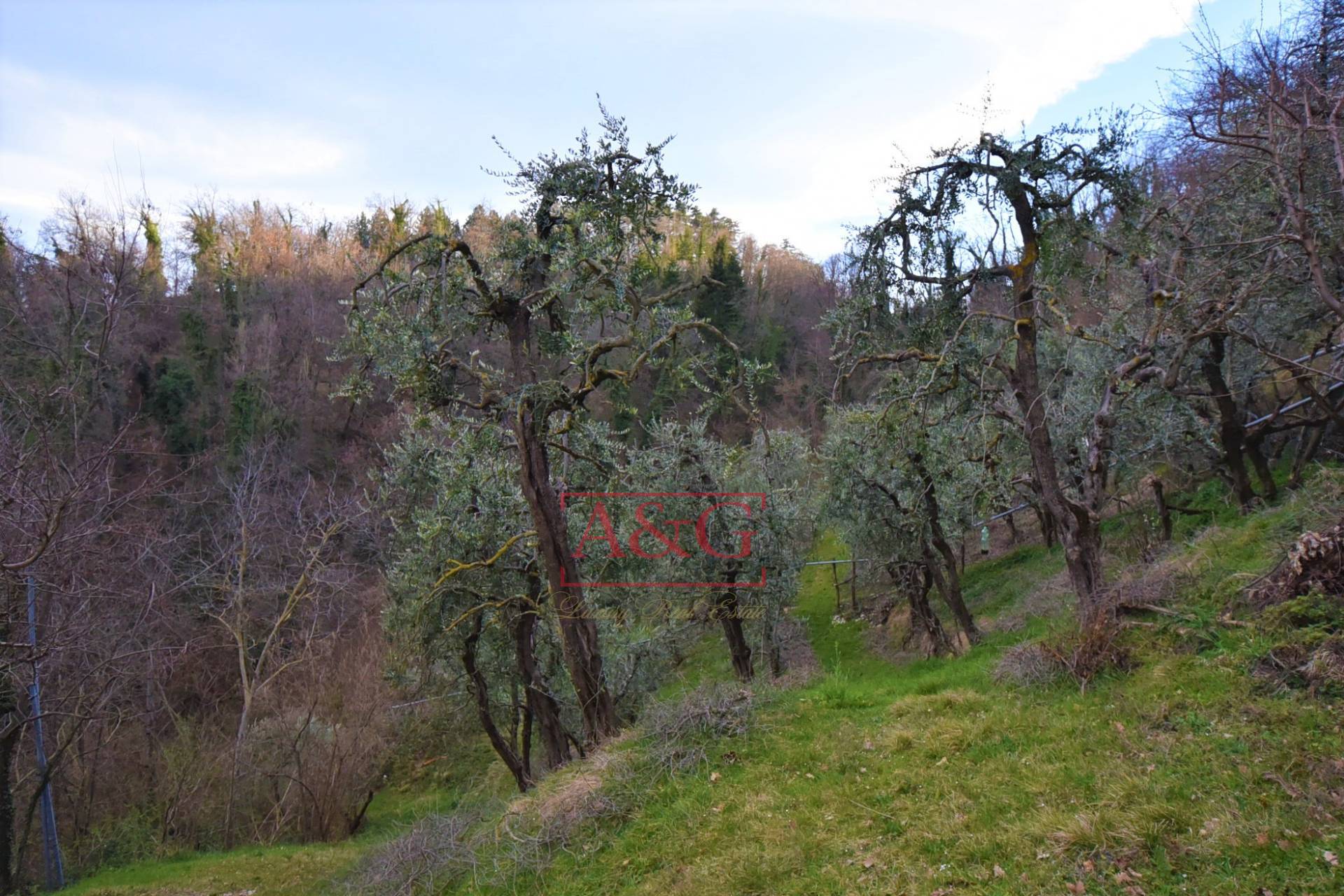 Casa colonica in vendita a Santa Vittoria in Matenano, Campagna