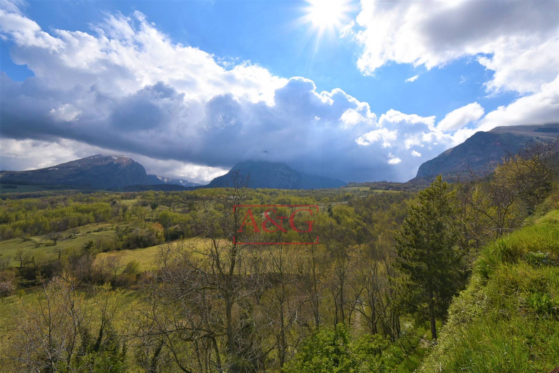 immagine annuncio 6 di 10